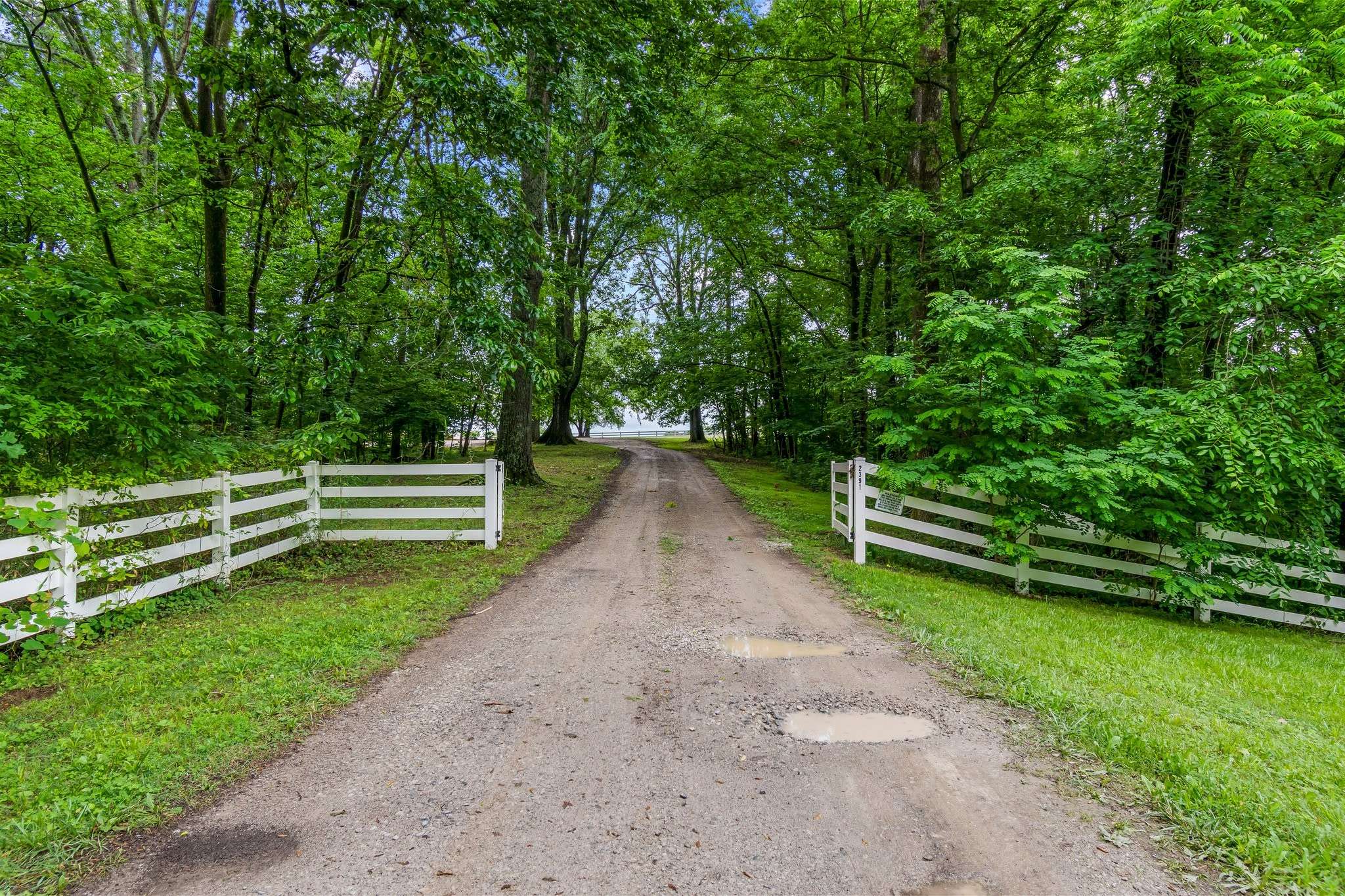 Columbia, TN 38401,2391 Double Branch Rd