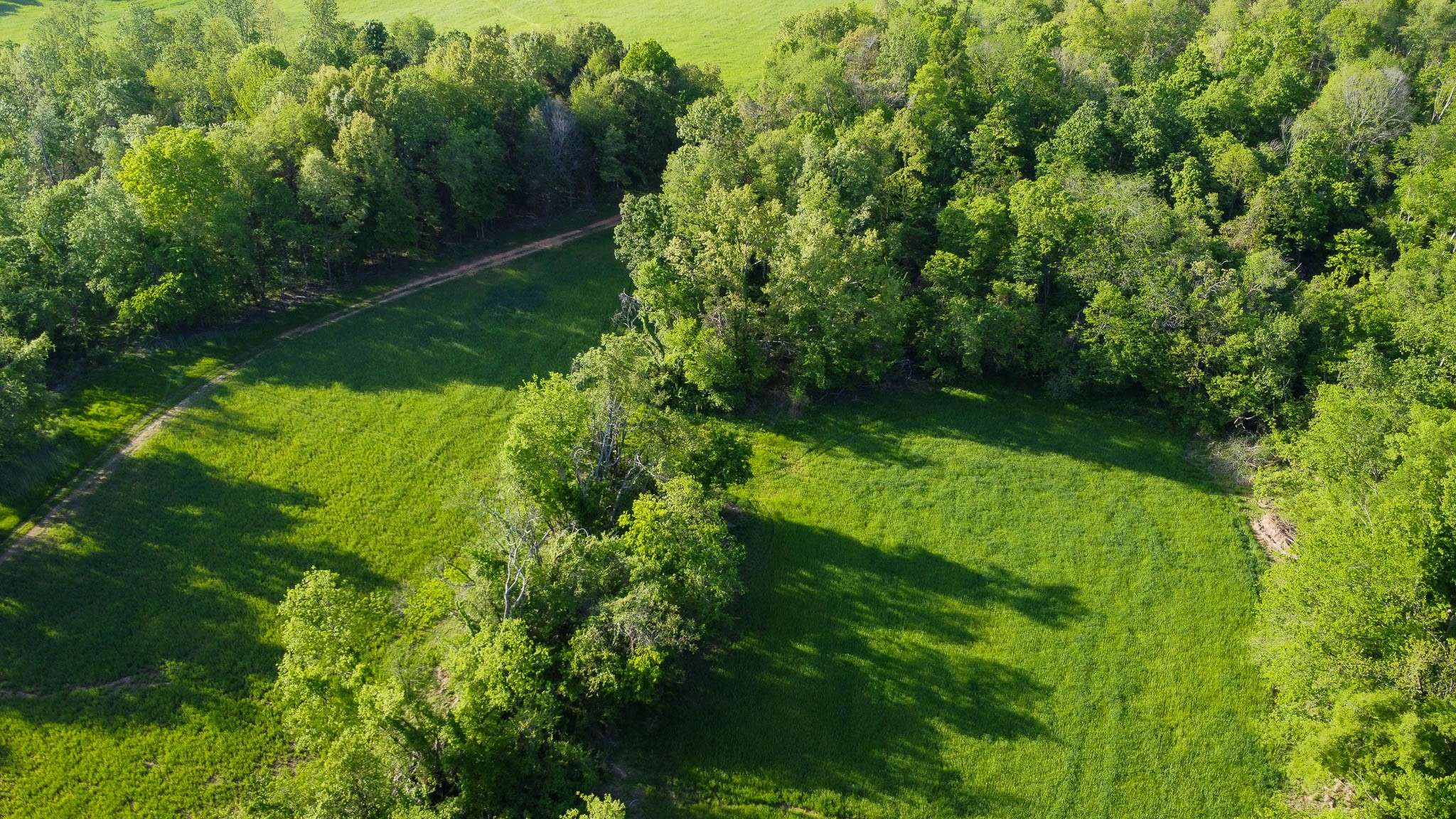 Cedar Hill, TN 37032,0 Sturgeon Creek Road