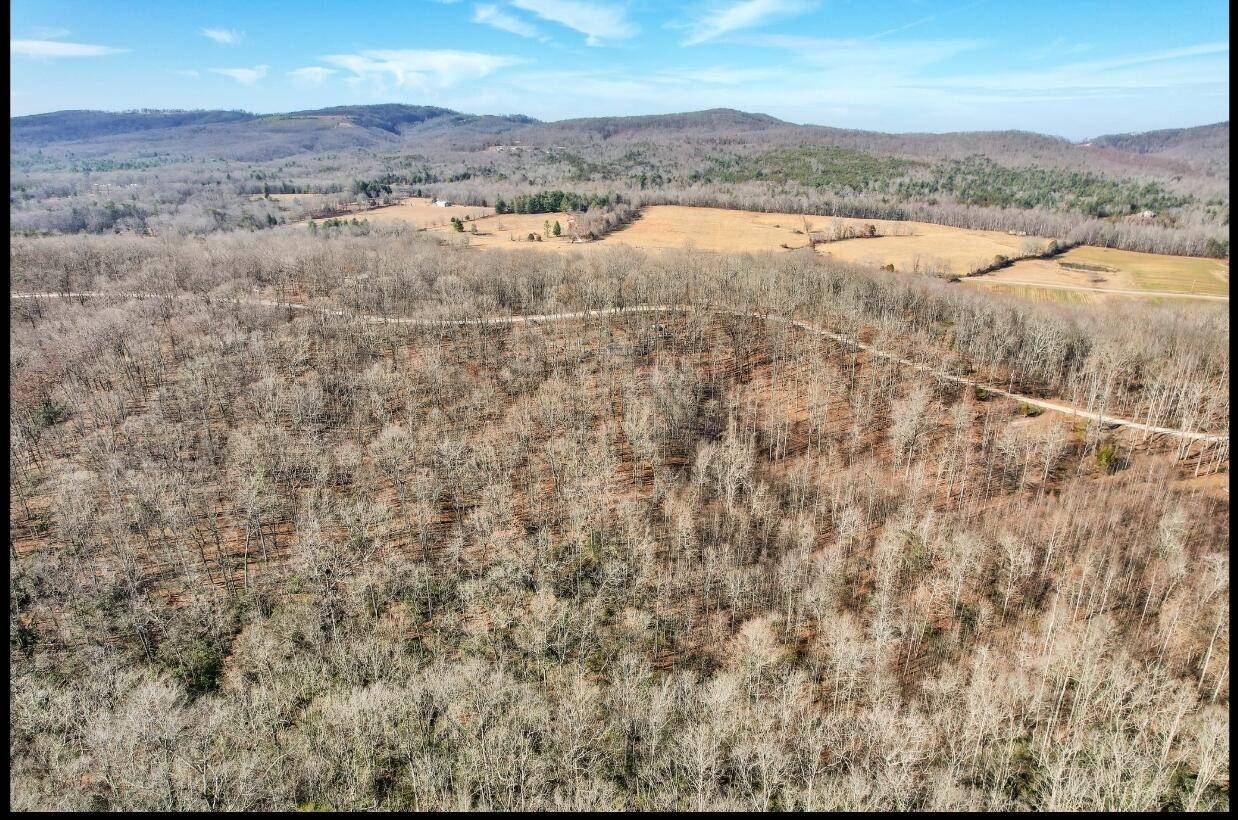 Spring City, TN 37381,815 Chestnut Ridge Road