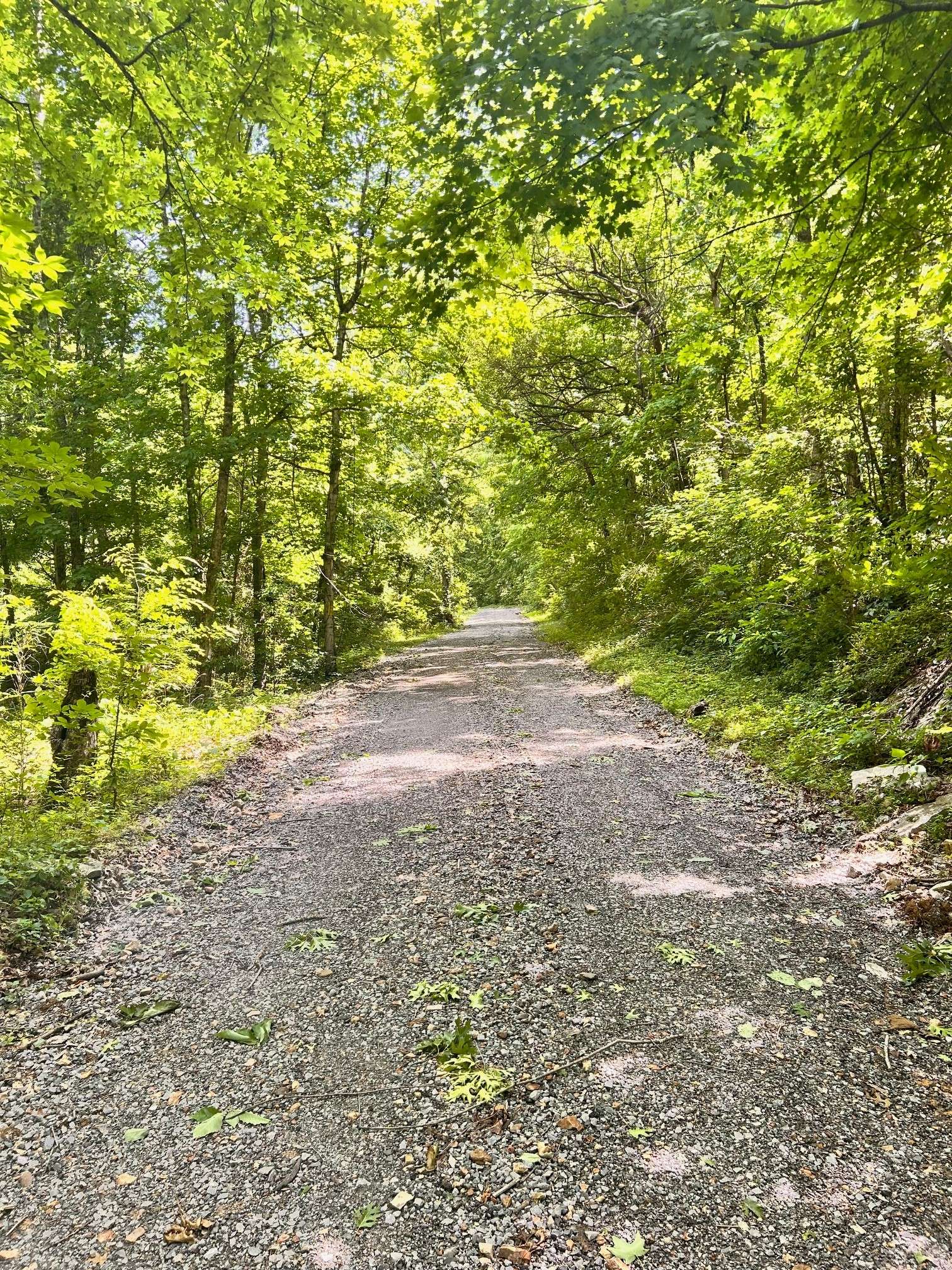 Hartsville, TN 37074,0 Heine Lane
