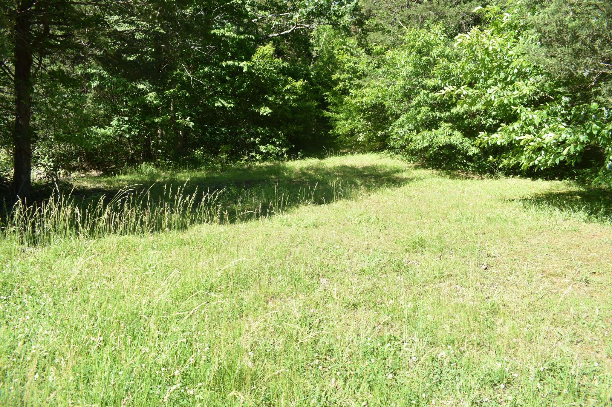 Carthage, TN 37030,0 Ballenger Rd