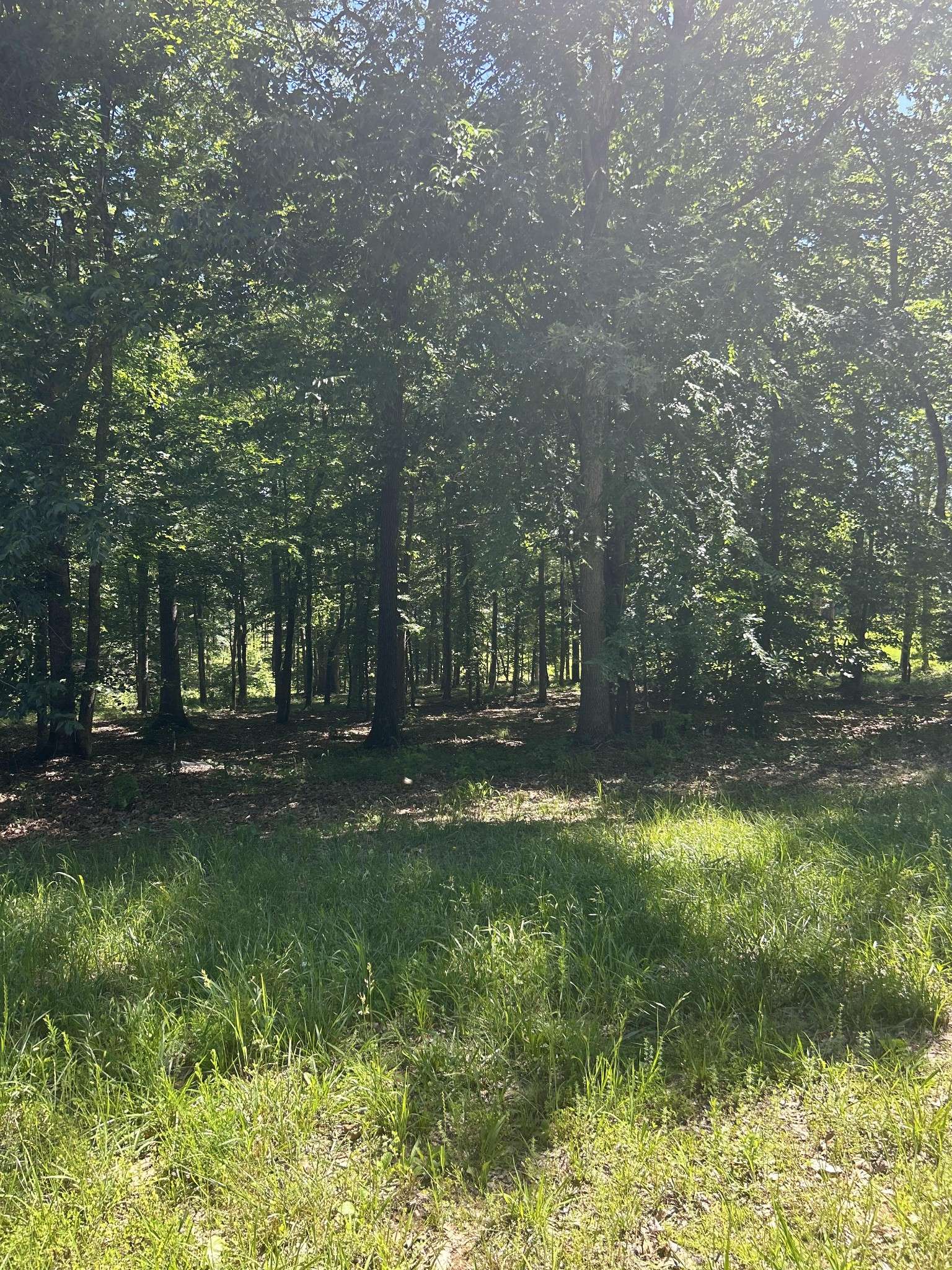Huntingdon, TN 38344,27 Sportsman Cove