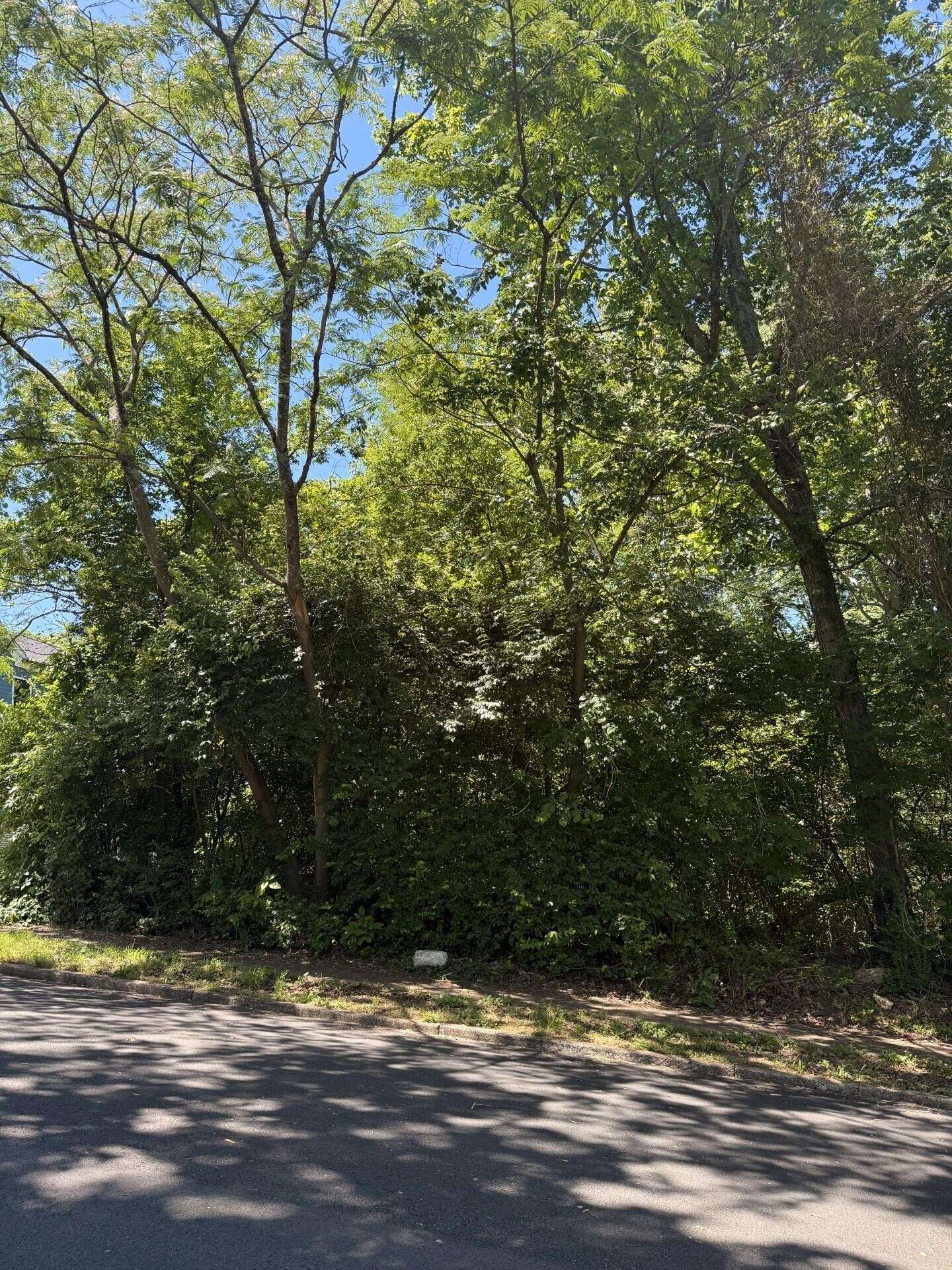 Chattanooga, TN 37405,1031 Garnett Avenue