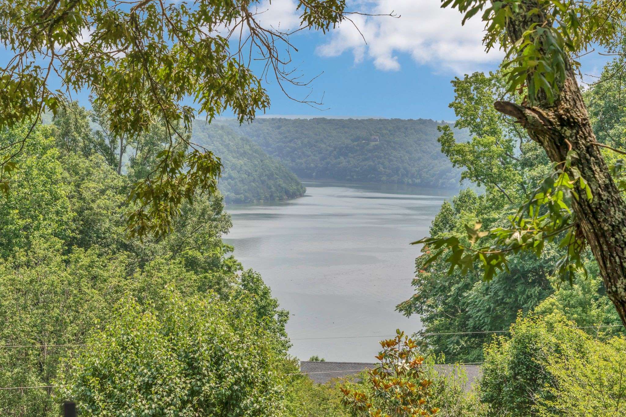 Smithville, TN 37166,4250 Four Seasons Rd