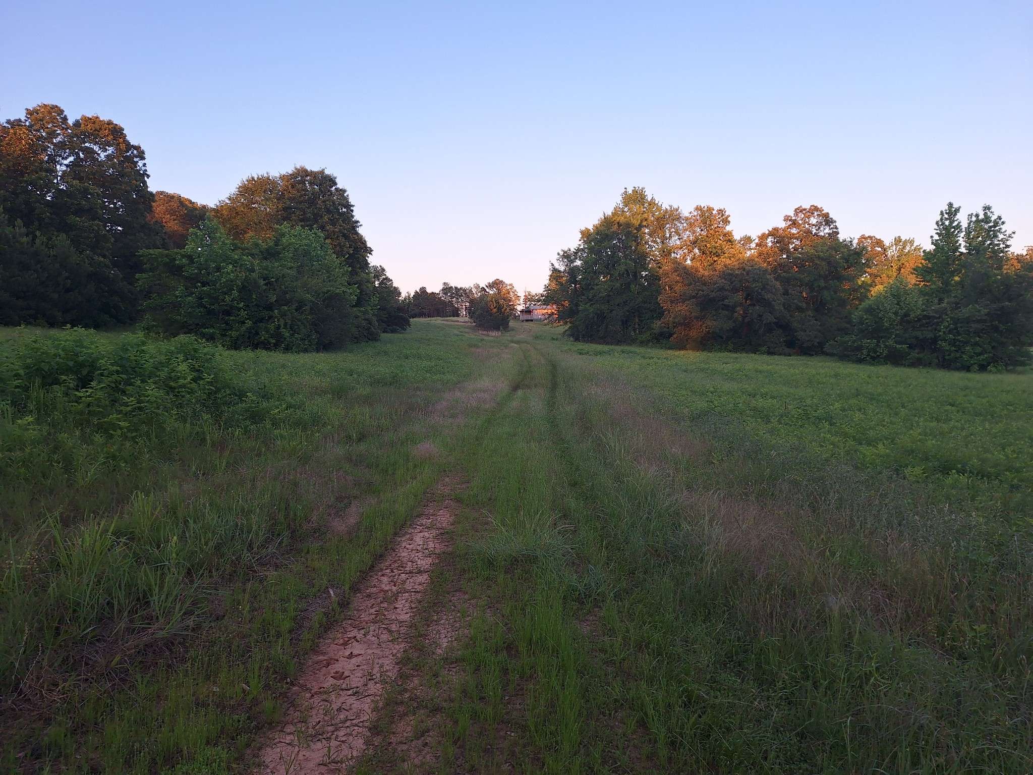 Hollow Rock, TN 38342,1605 Barren Springs Rd