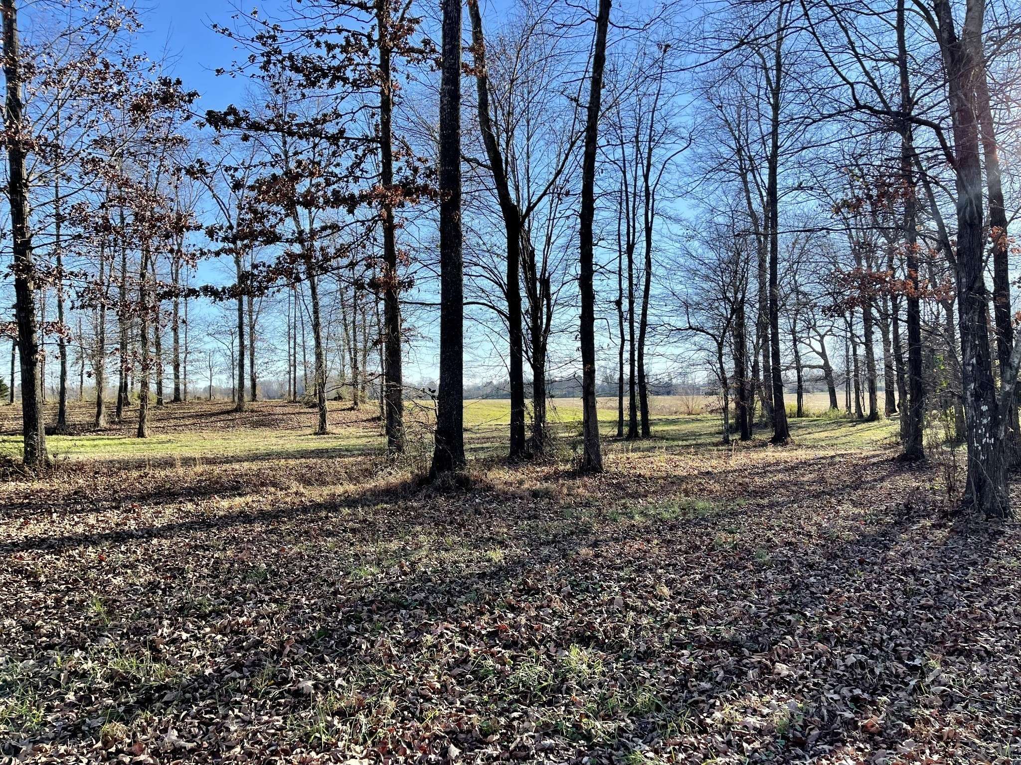 Lawrenceburg, TN 38464,0 Woodland Cir