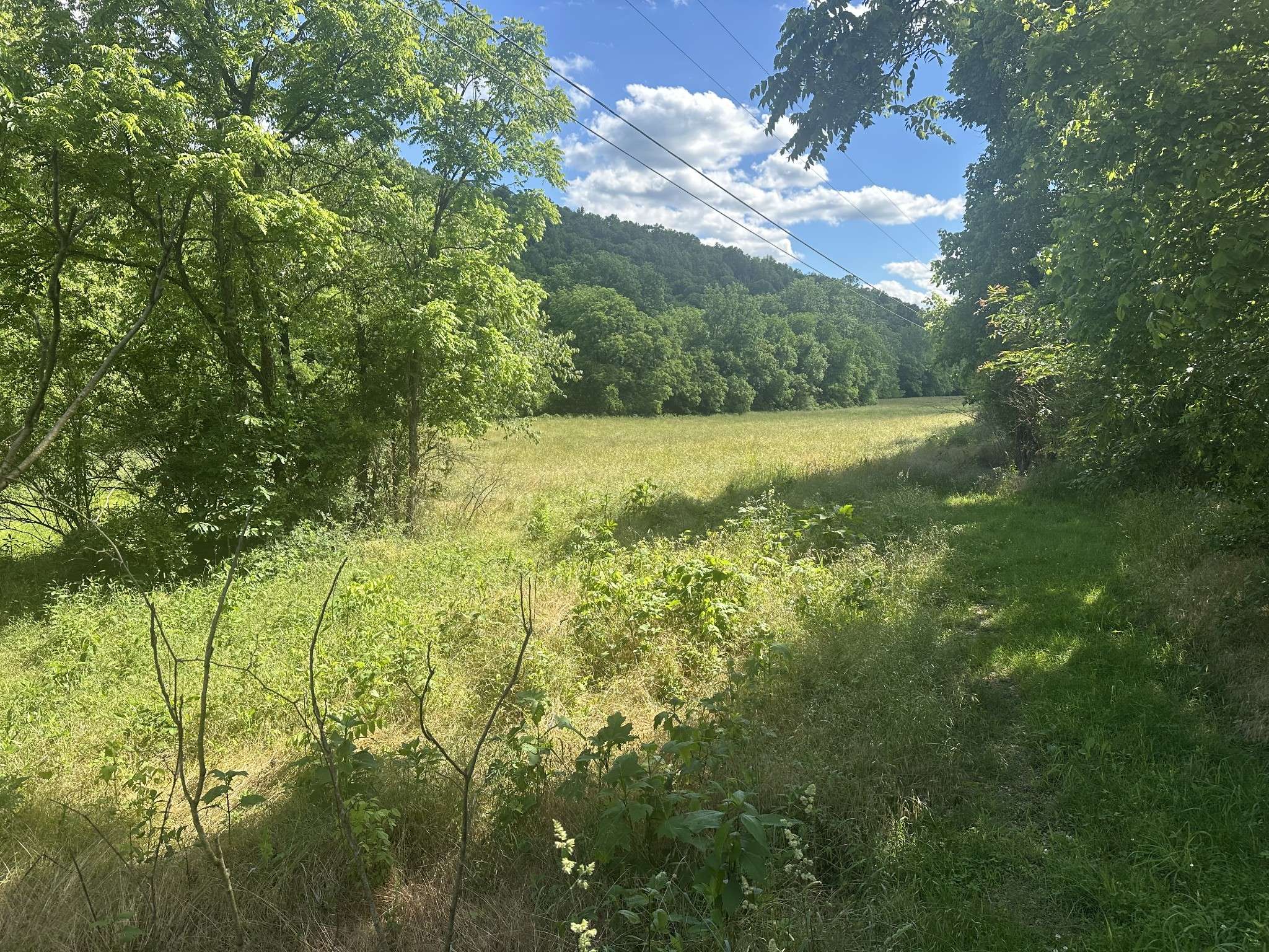 Buffalo Valley, TN 38548,642 Club Springs Rd