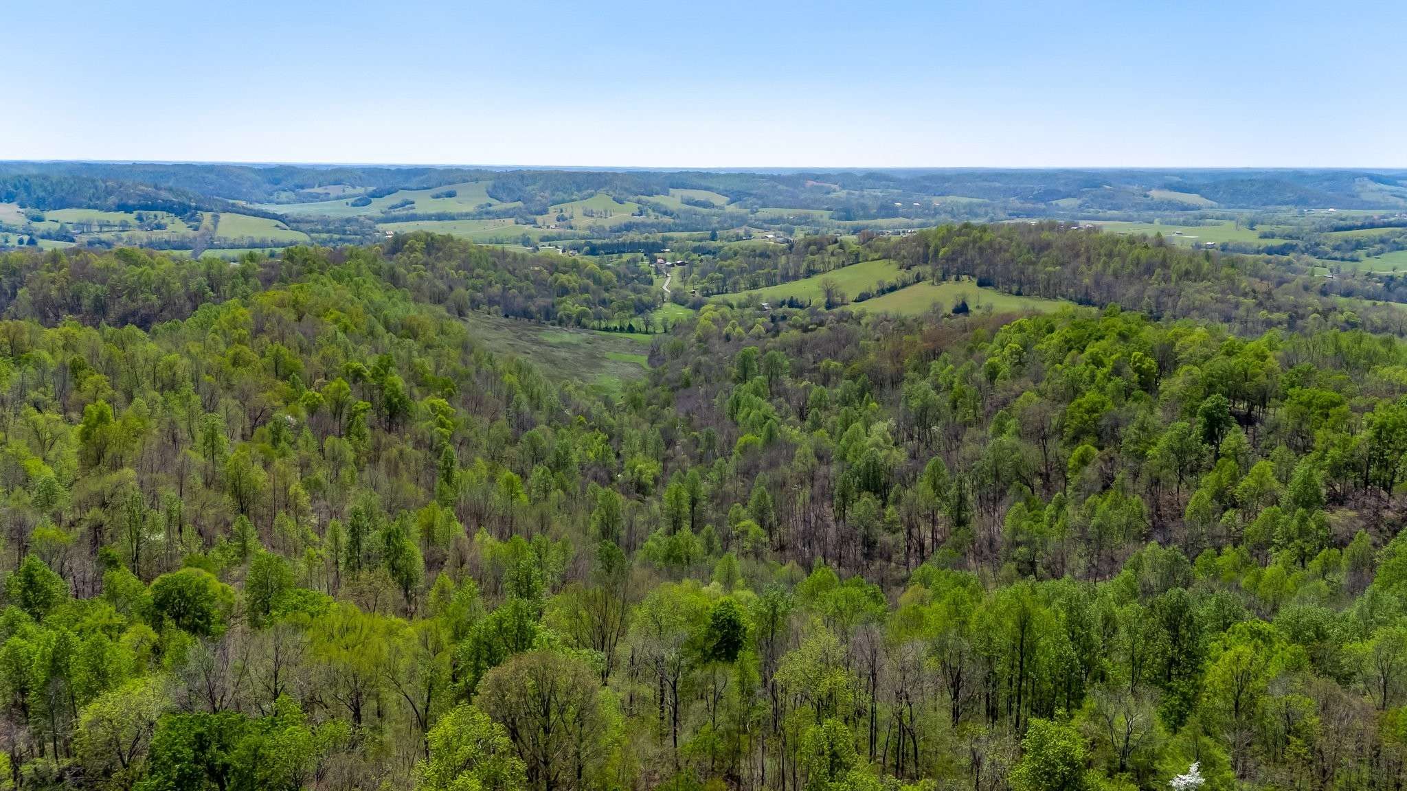 Lewisburg, TN 37091,3199 McKnight Rd