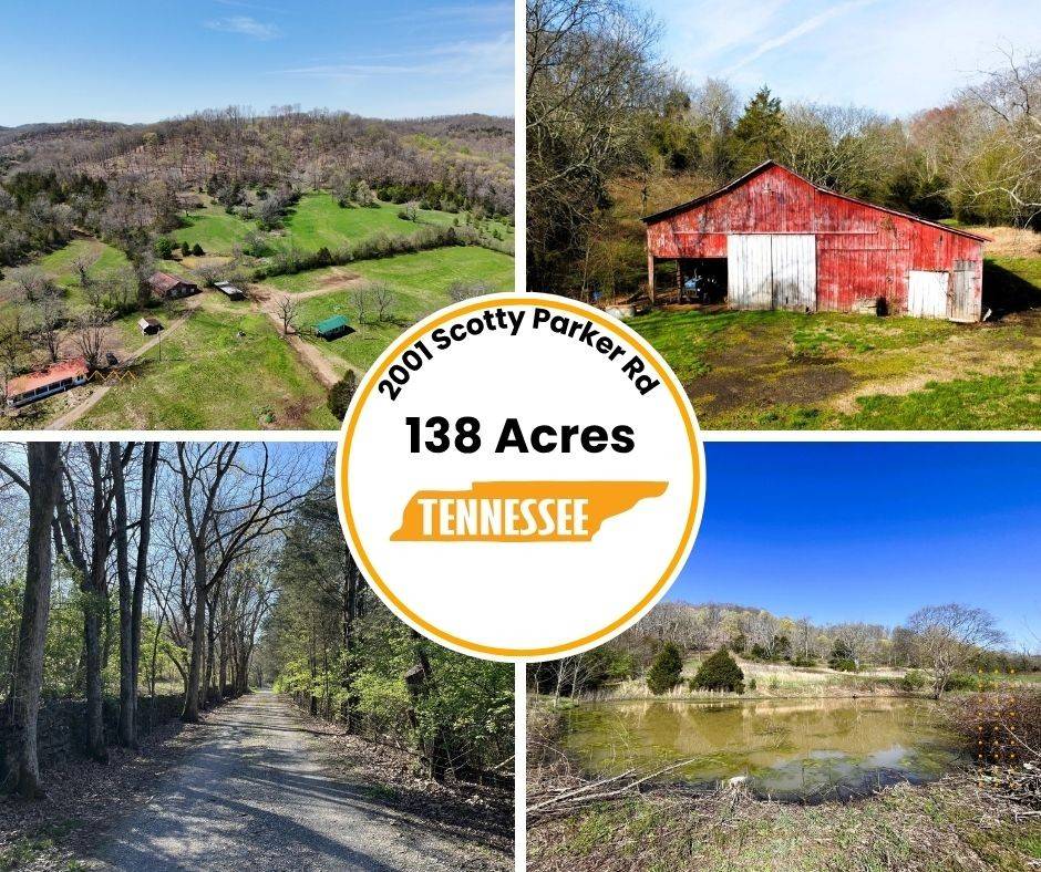 Gallatin, TN 37066,2001 Scotty Parker Rd