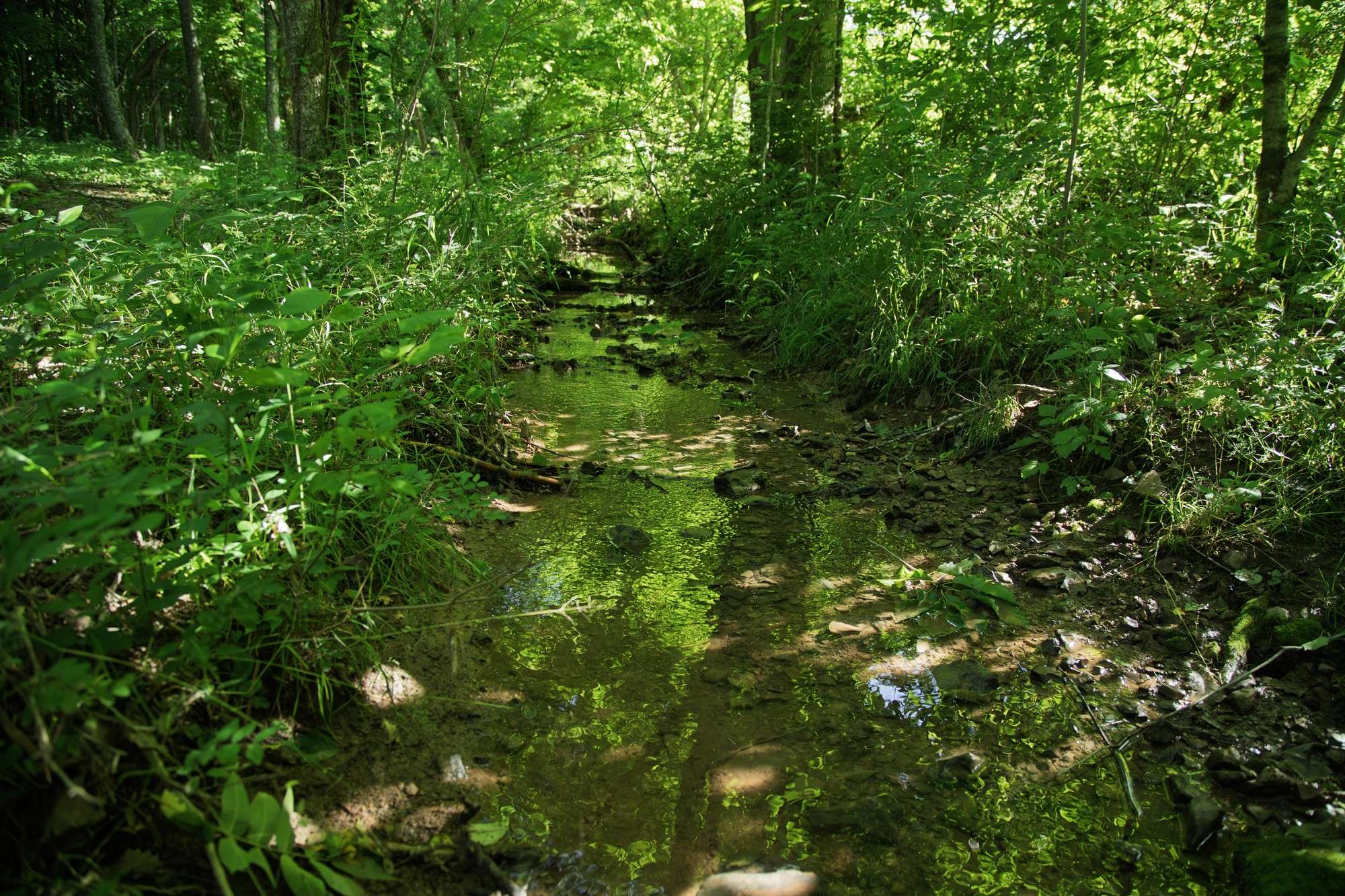 Columbia, TN 38401,0 Jacobs Road