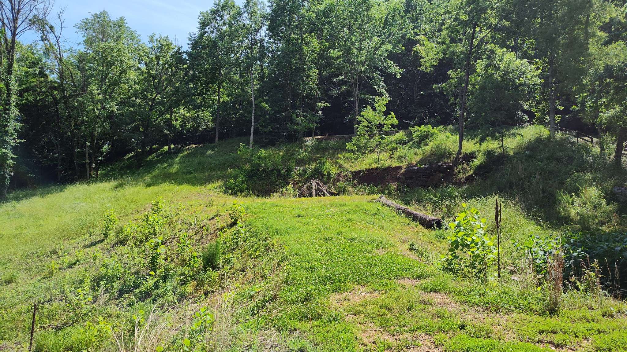 Lancaster, TN 38569,11 Bay Dr