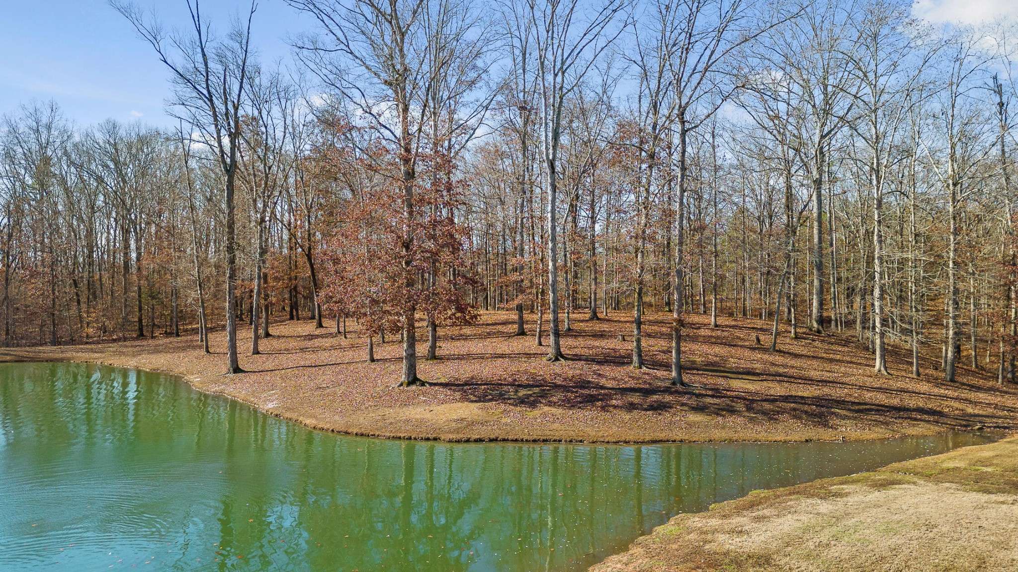 Cleveland, TN 37312,0 Litchfield Lane