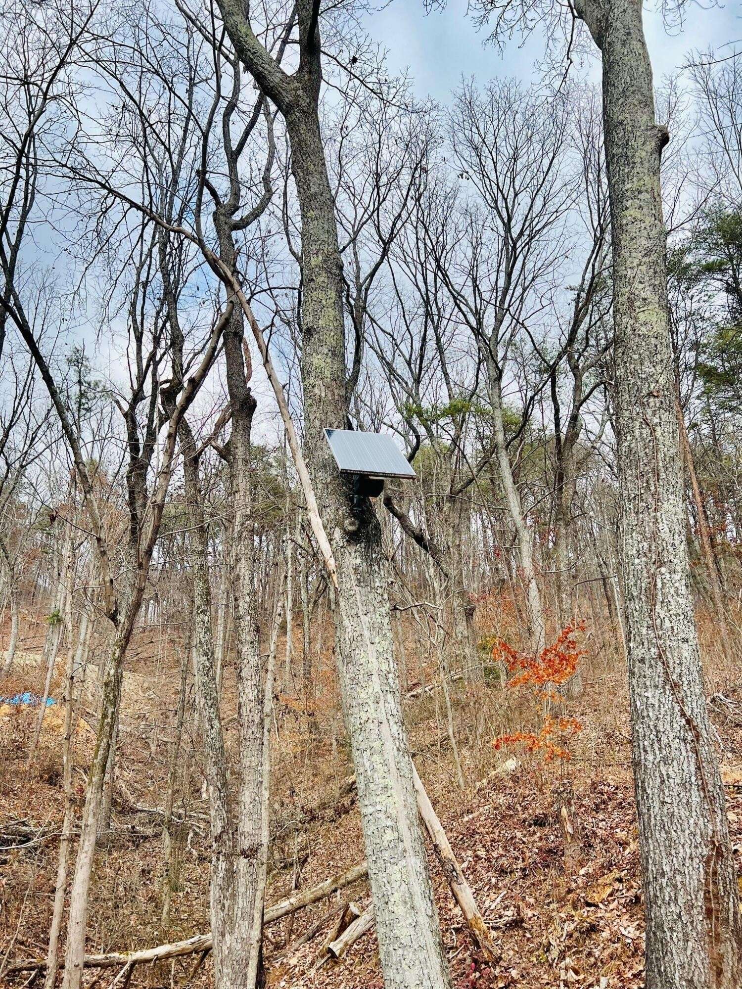 Soddy Daisy, TN 37379,134 Hamilton Avenue