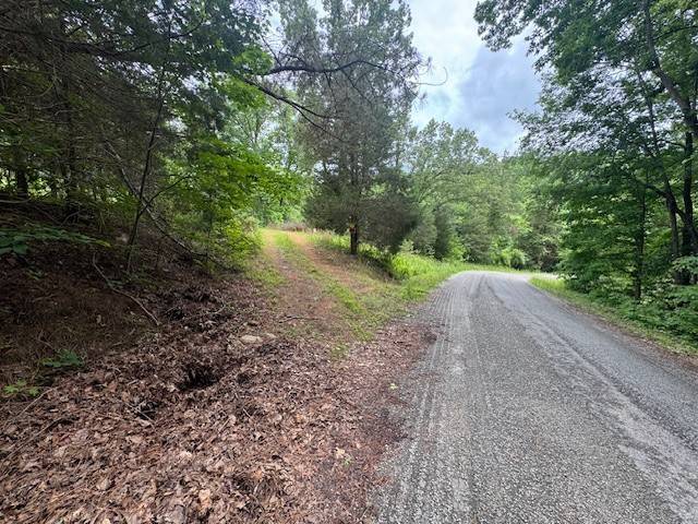 Hohenwald, TN 38462,1970 Trace Creek Rd
