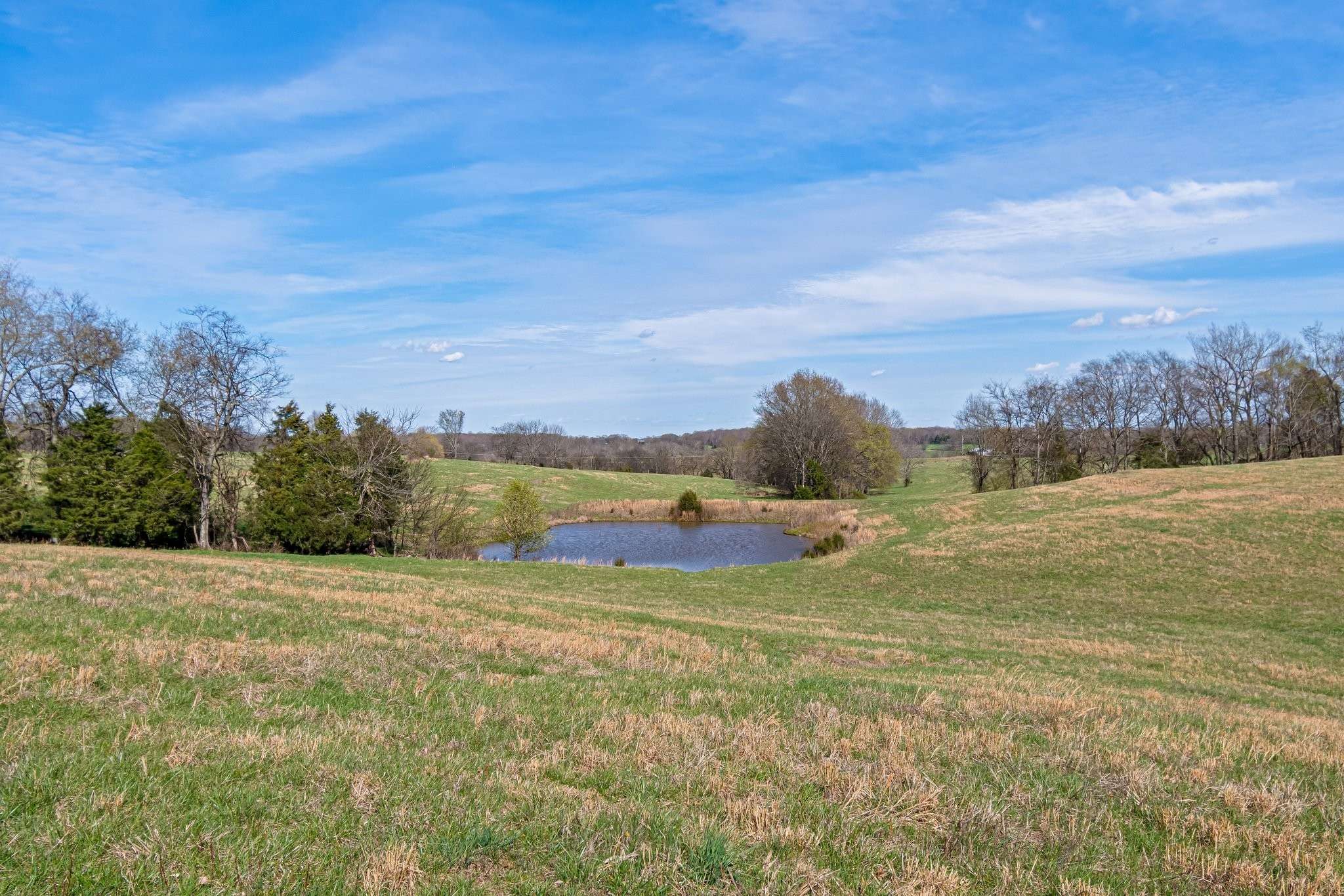 Cedar Hill, TN 37032,3620 Heads Church Rd