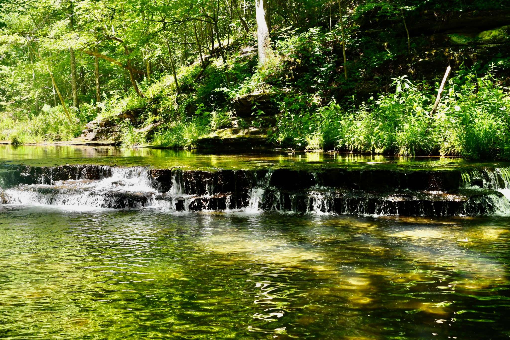 Hohenwald, TN 38462,0 Brush Creek