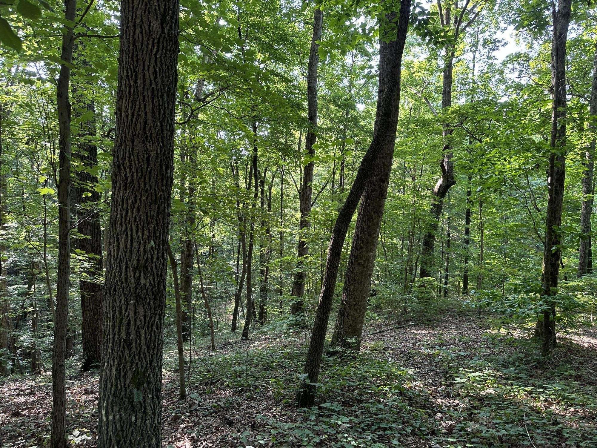 Chattanooga, TN 37419,3692 Pan Gap Circle