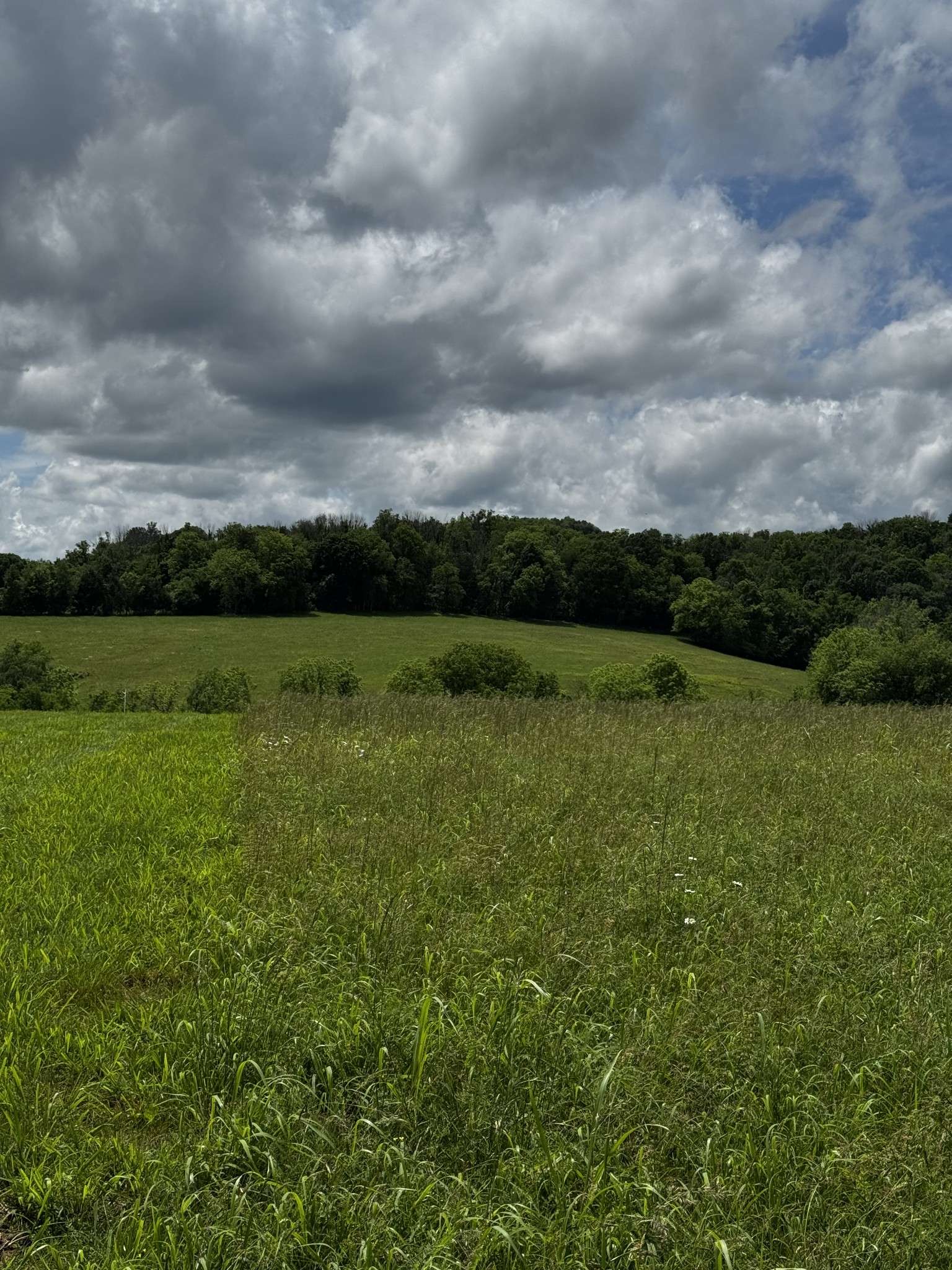 Watertown, TN 37184,0 Hearn Hill Rd