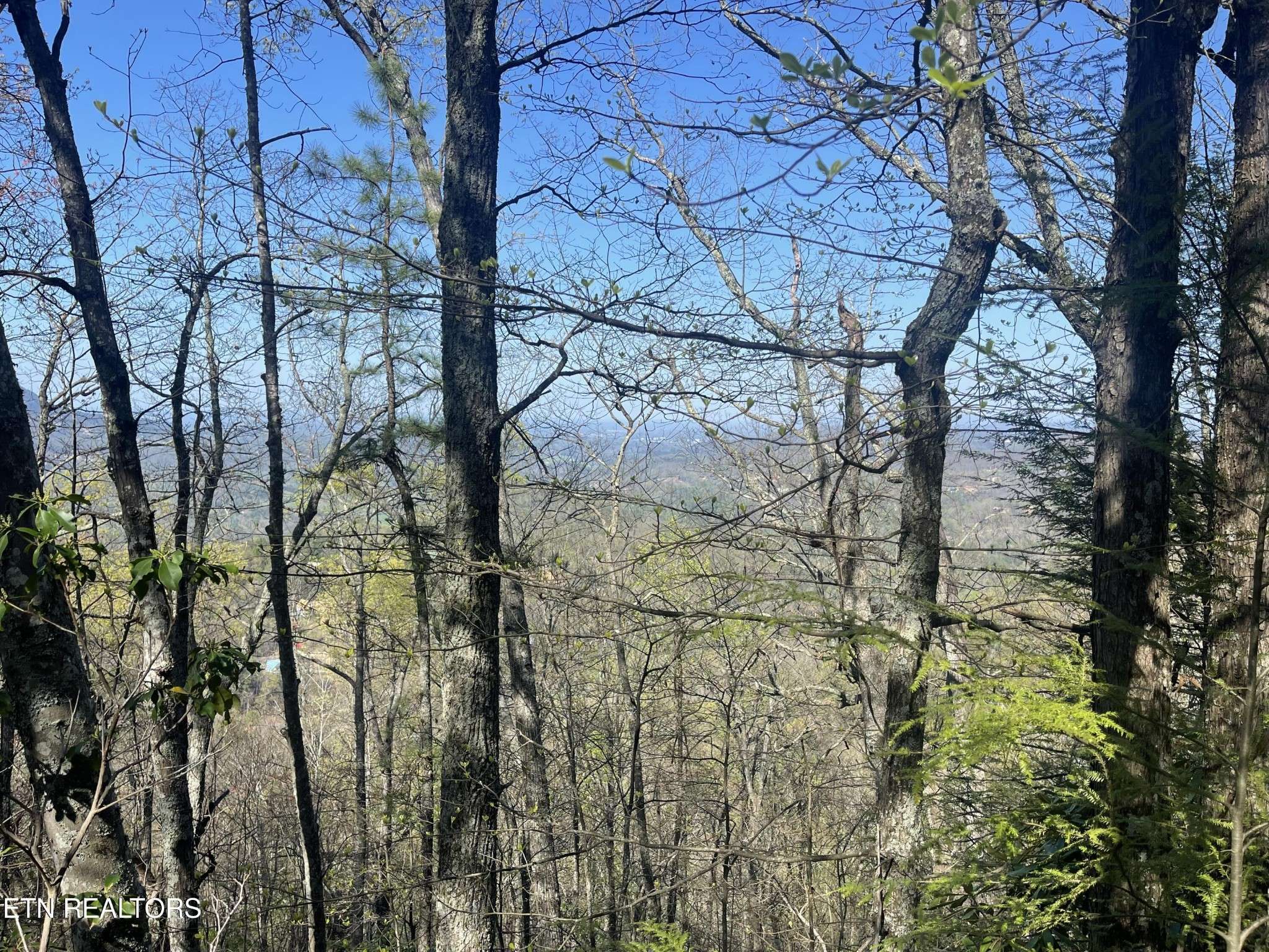 Sevierville, TN 37862,5 Overholt Tr