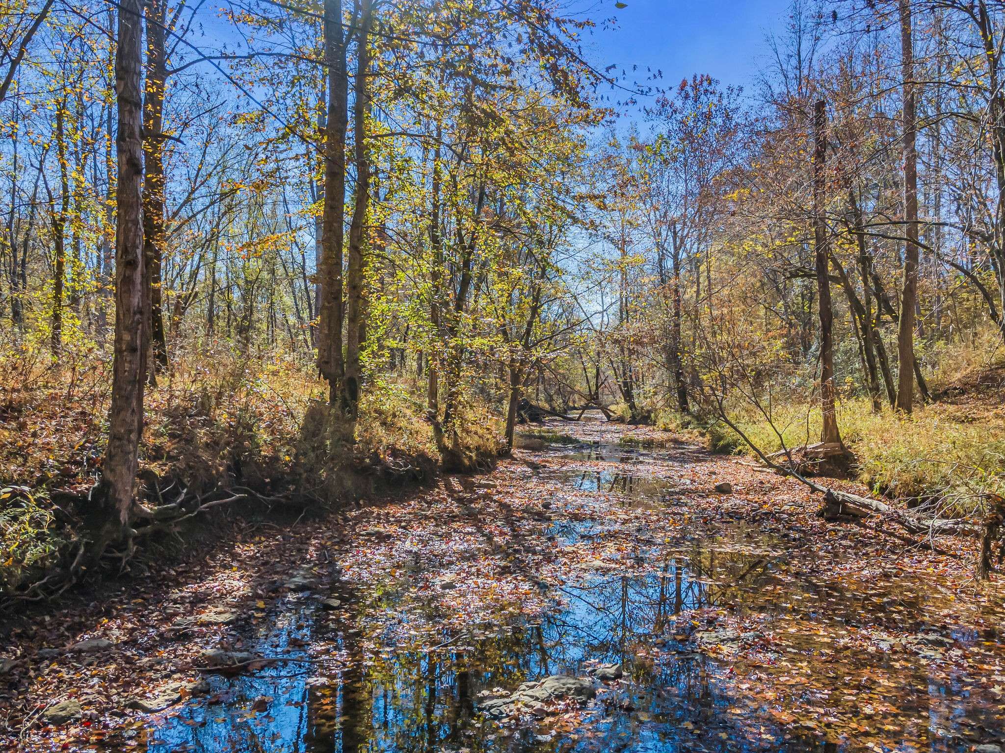Hohenwald, TN 38462,761 Metal Ford Rd
