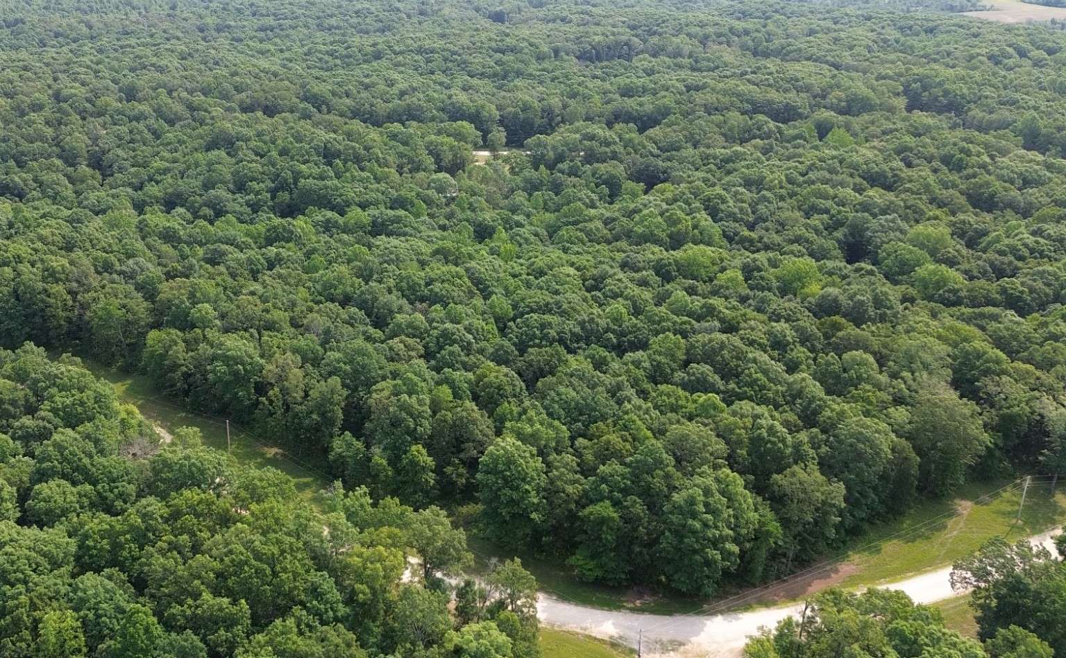 Hurricane Mills, TN 37078,0 Owl Circle