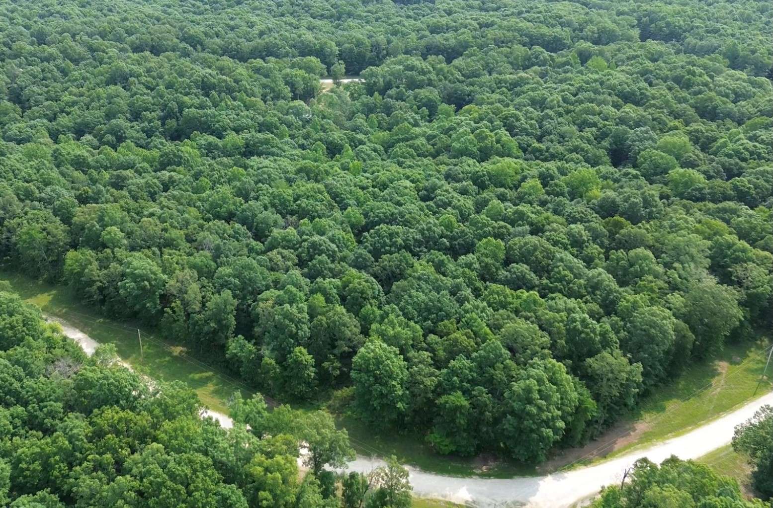 Hurricane Mills, TN 37078,0 Owl Circle
