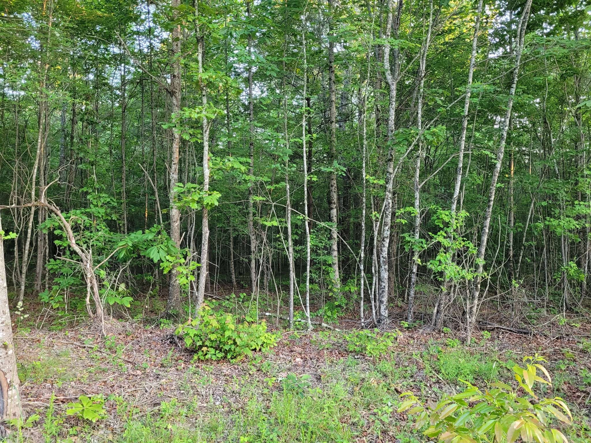Spencer, TN 38585,202122 Camp Creek Rd