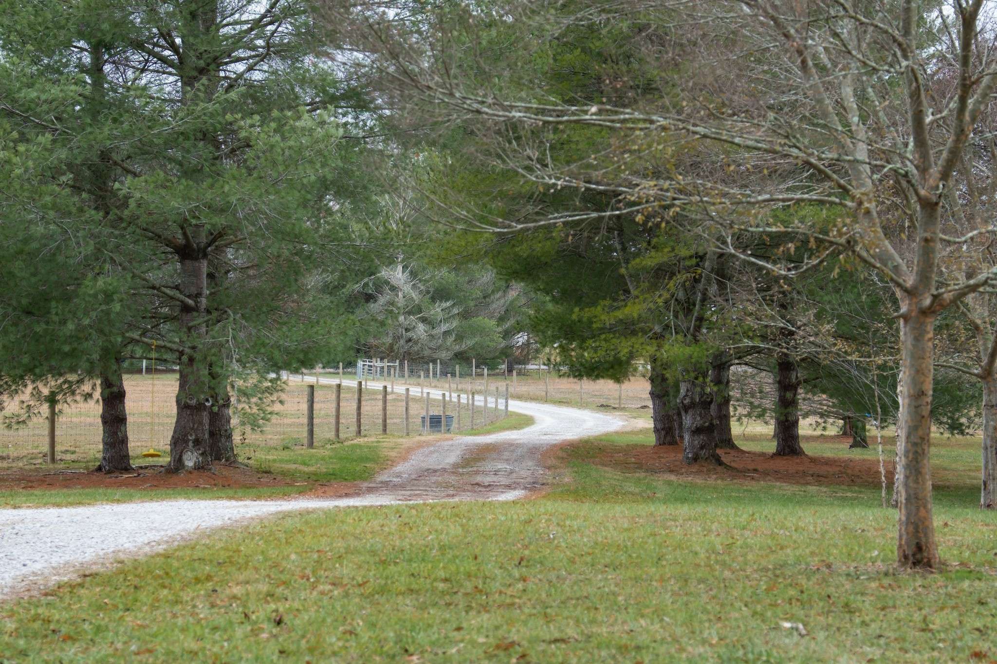 Mcminnville, TN 37110,9484 Lucky Rd