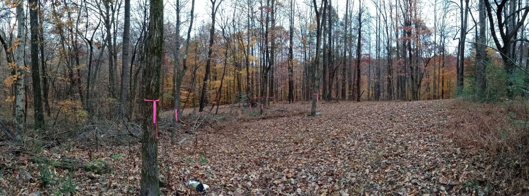 Joelton, TN 37080,2812 Union Hill Rd