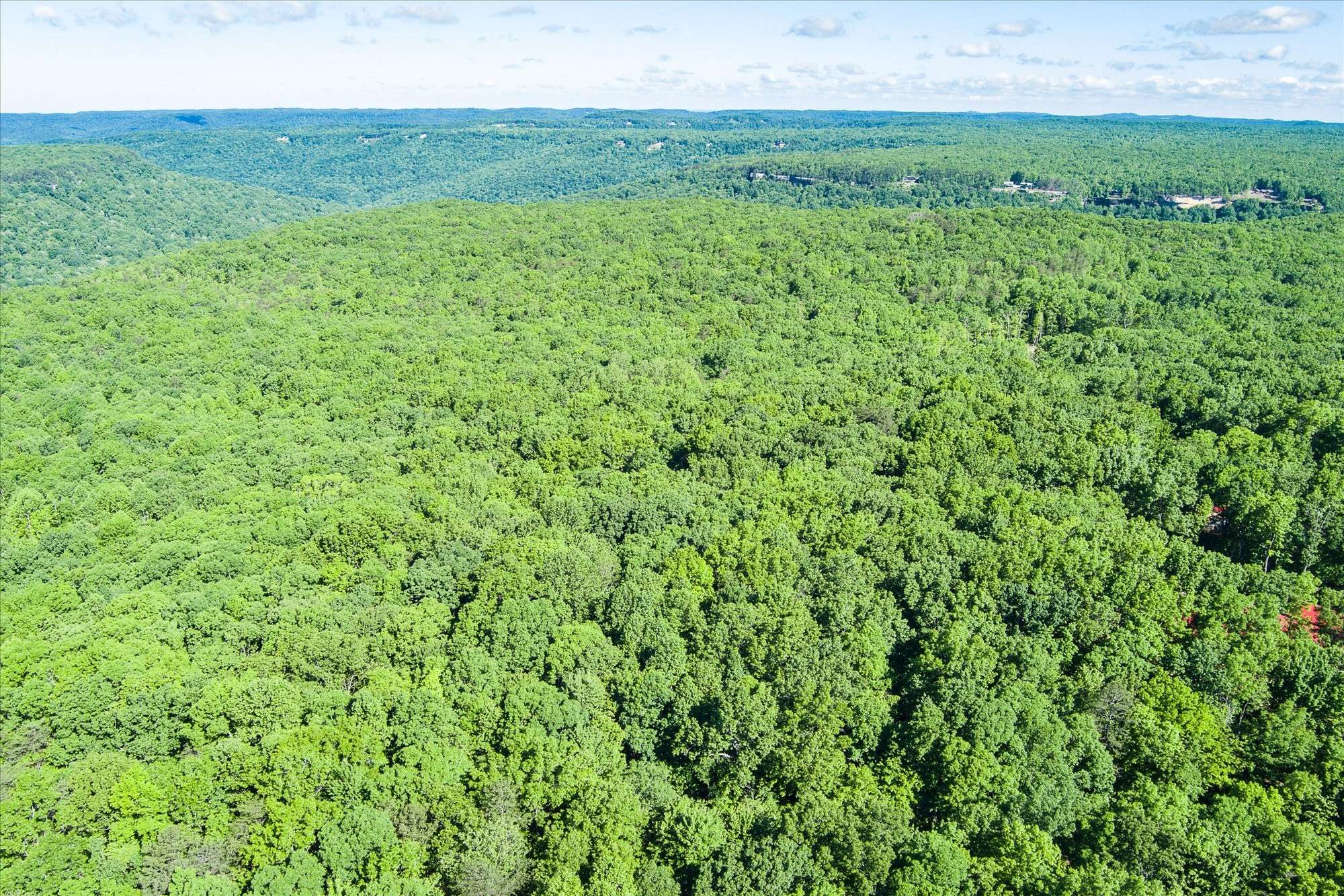 Monterey, TN 38574,0 Yellow Creek Road