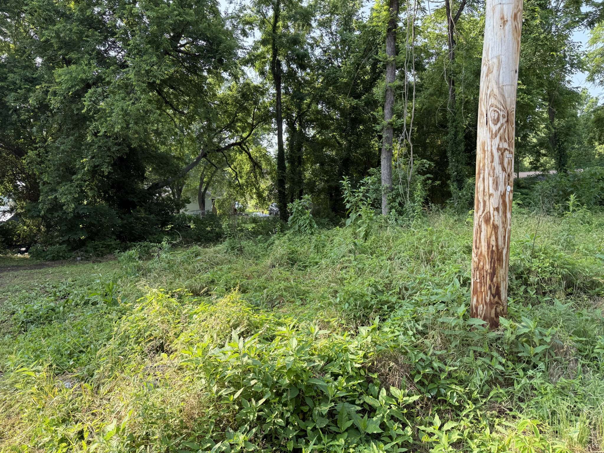 Shelbyville, TN 37160,0 White St