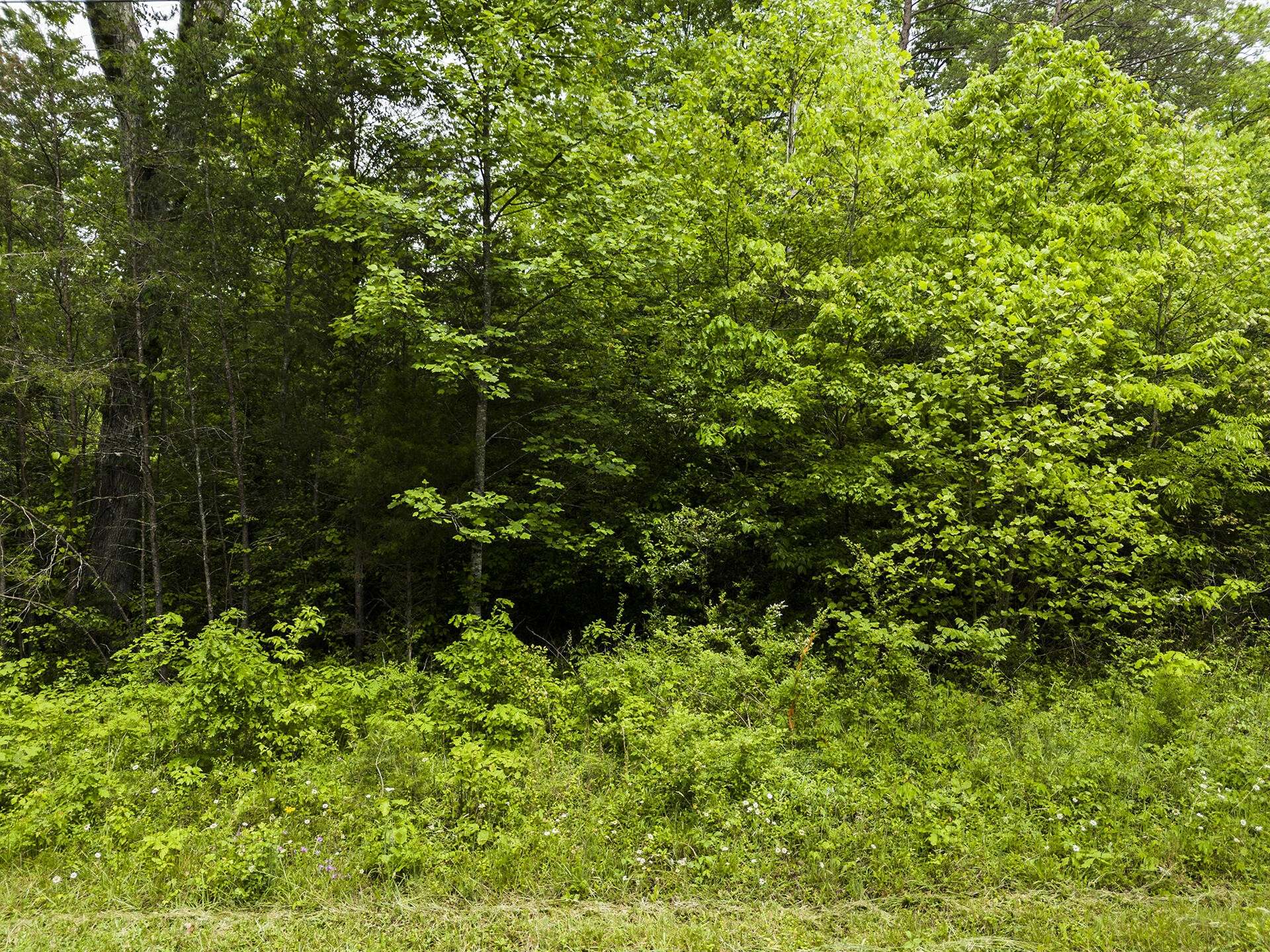 Gruetli Laager, TN 37339,2361 Colony Road