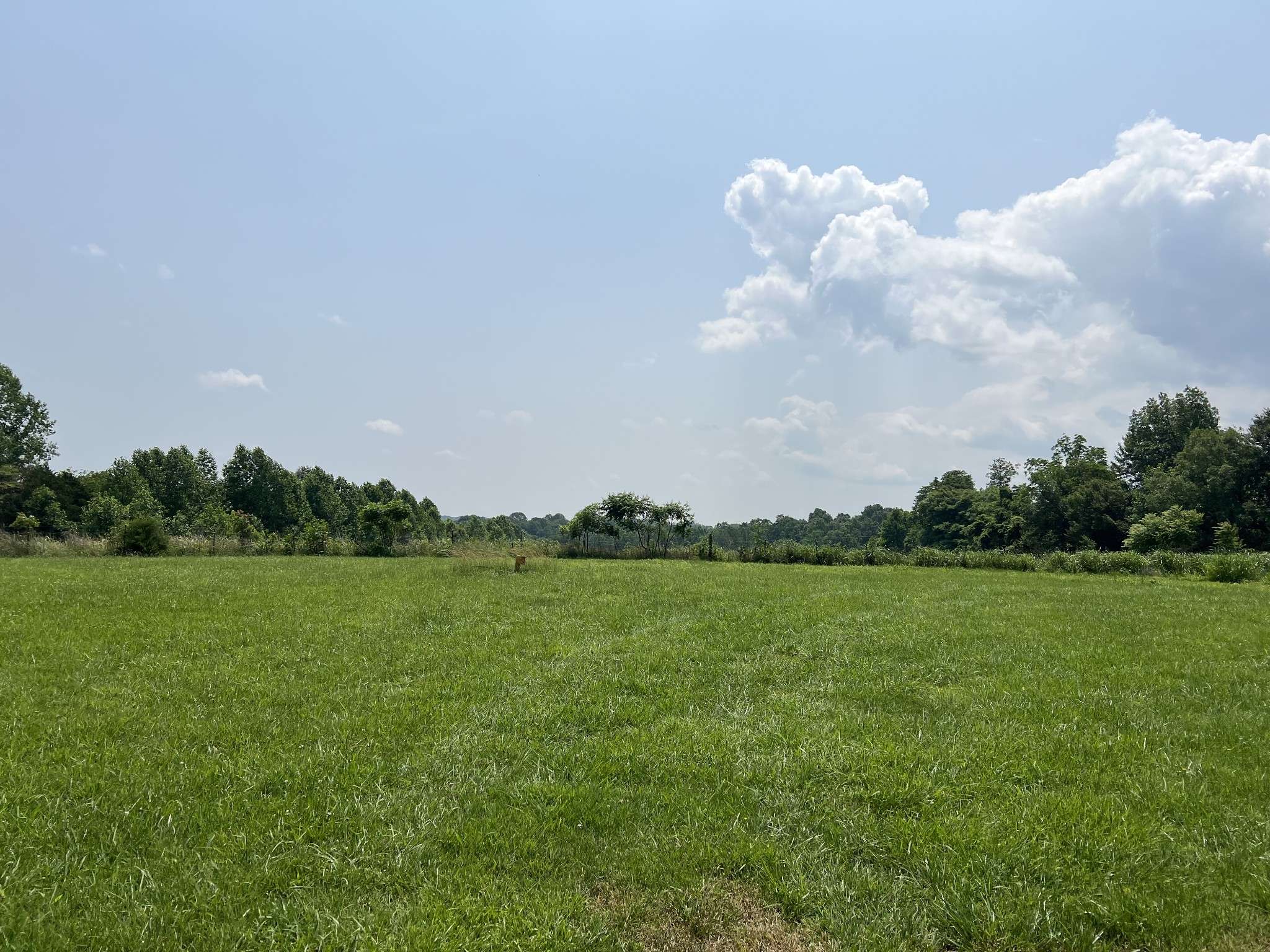 Westmoreland, TN 37186,5050 Oakdale Rd