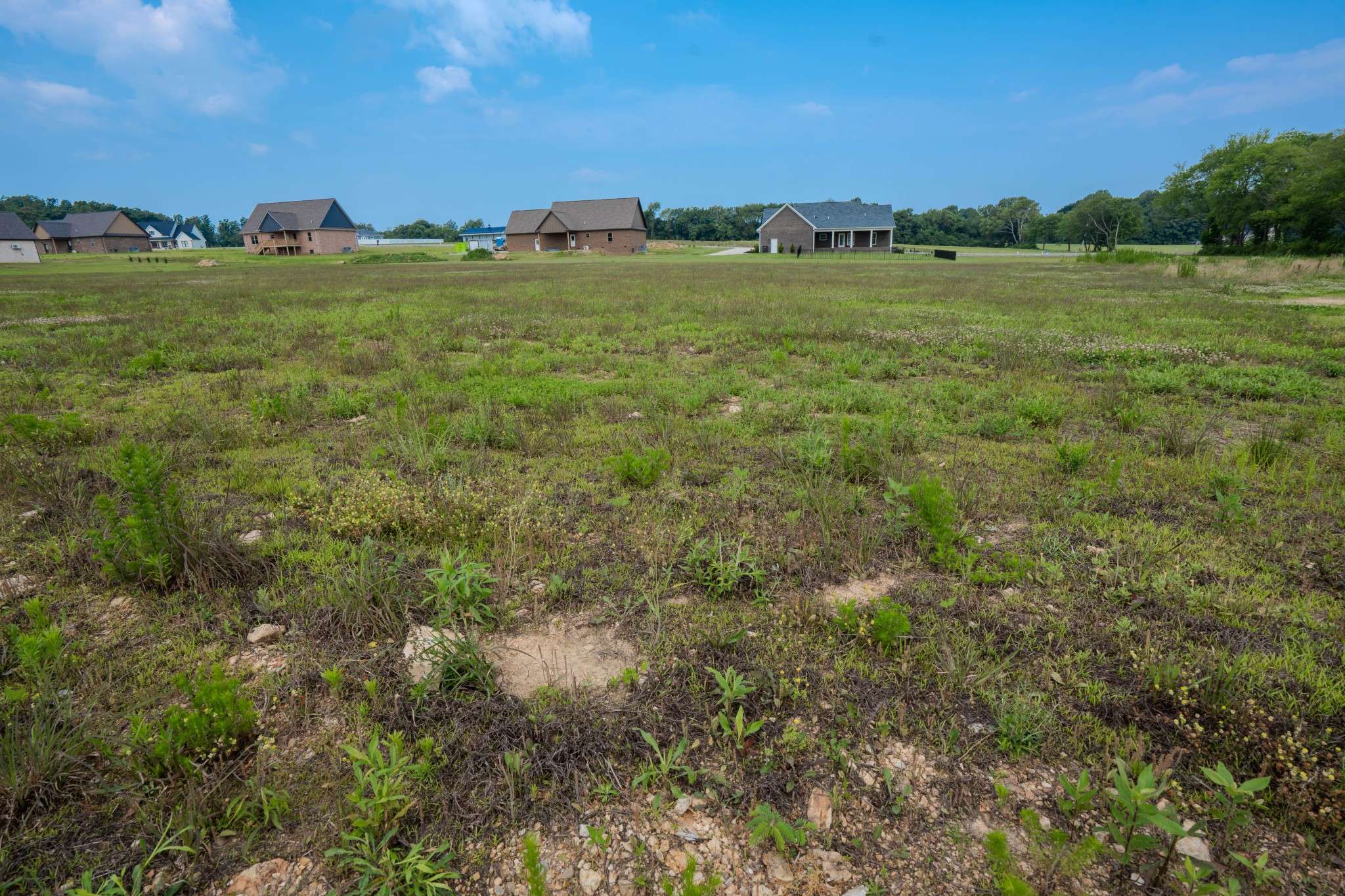 Leoma, TN 38468,0 Hurst Dr