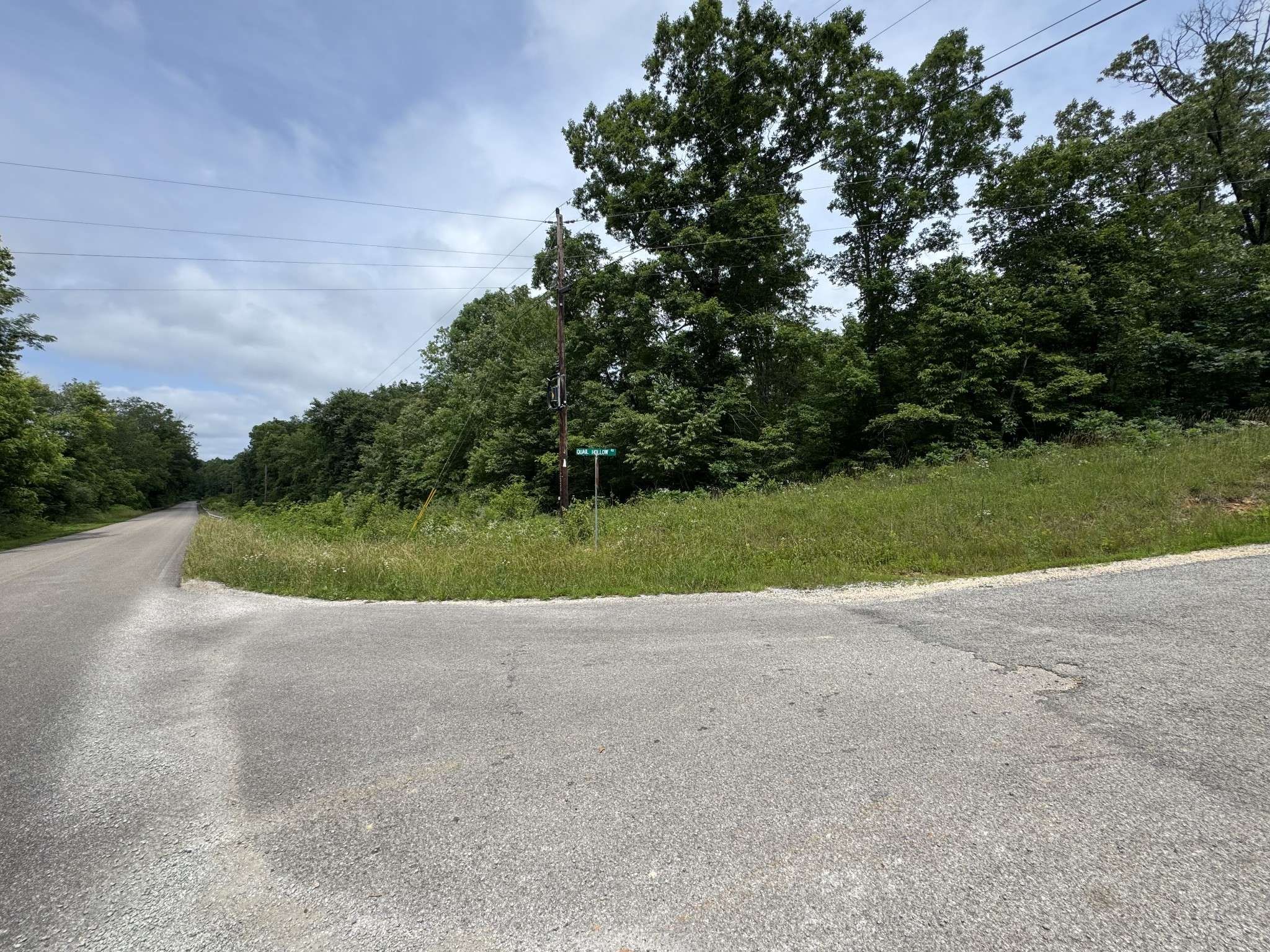 Summertown, TN 38483,0 Quail Hollow Dr