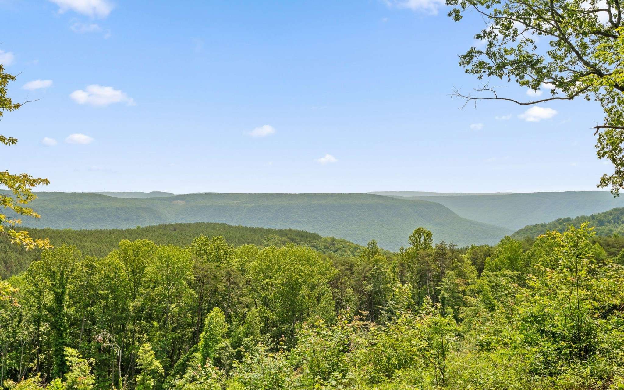 Guild, TN 37340,2222 High Ground Road