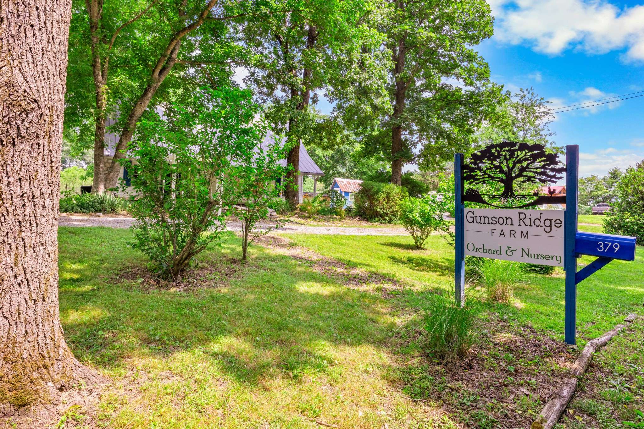 Cumberland City, TN 37050,379 Gunson Ridge Rd