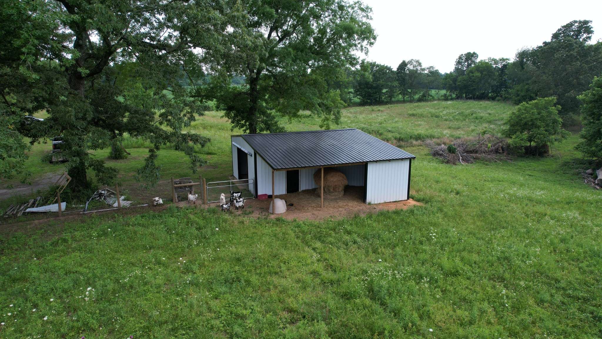 Leoma, TN 38468,521 Revilo Rd