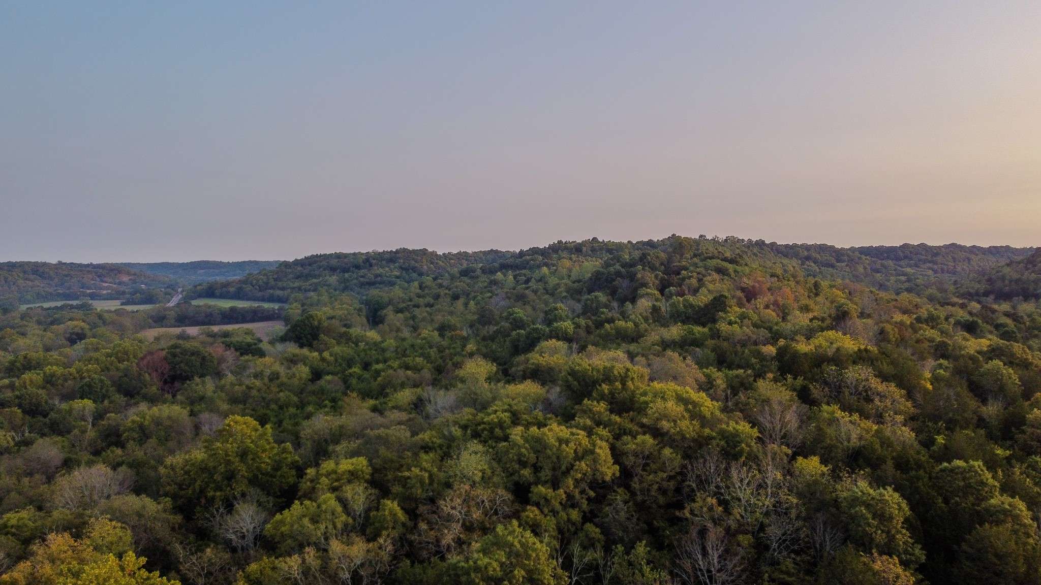 Dellrose, TN 38453,2 McBurg Dellrose Road