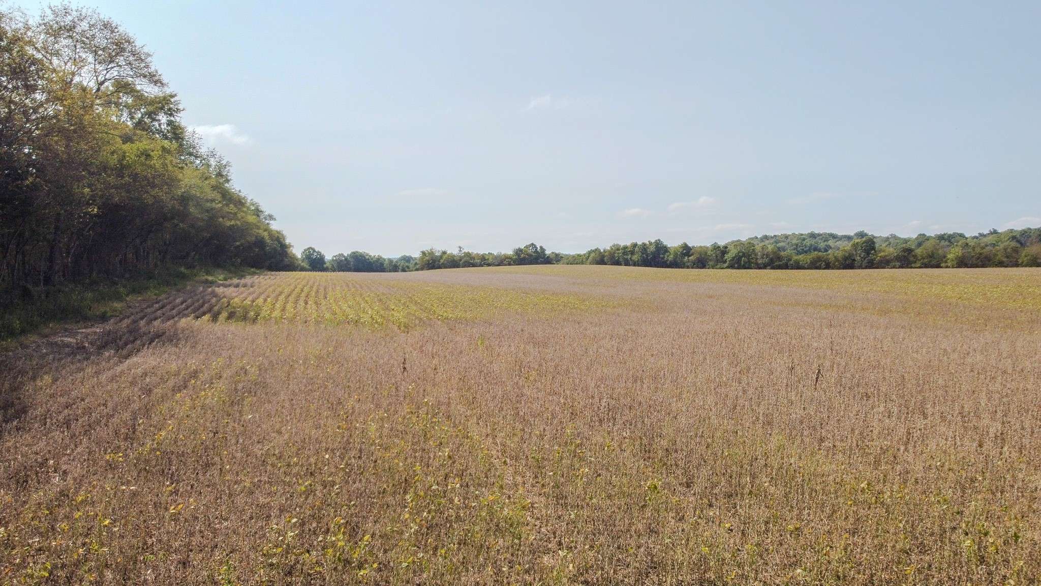 Dellrose, TN 38453,5 McBurg Dellrose Road