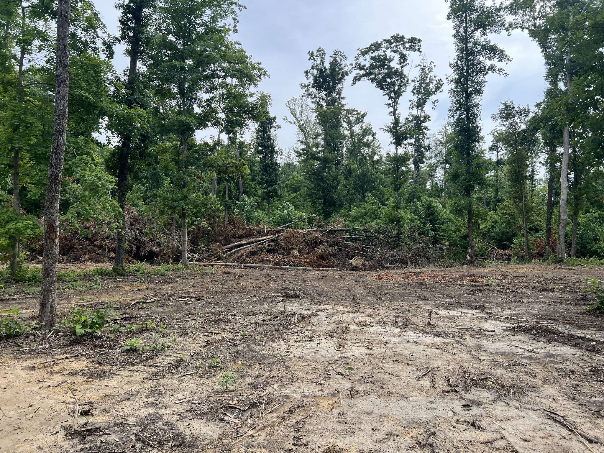 Westmoreland, TN 37186,28 Annie Hollow Rd