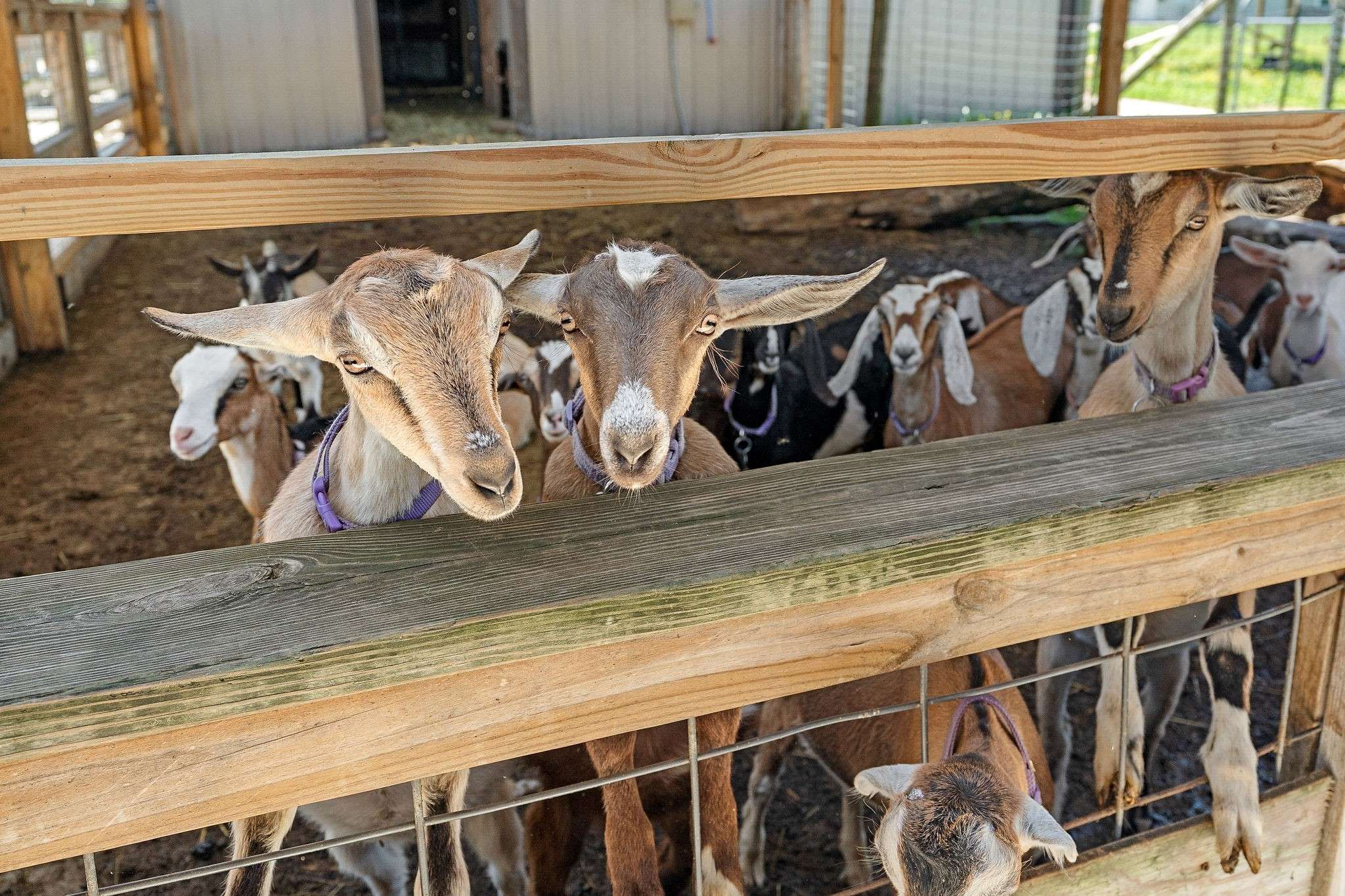 Smithville, TN 37166,285 Harmony Ln