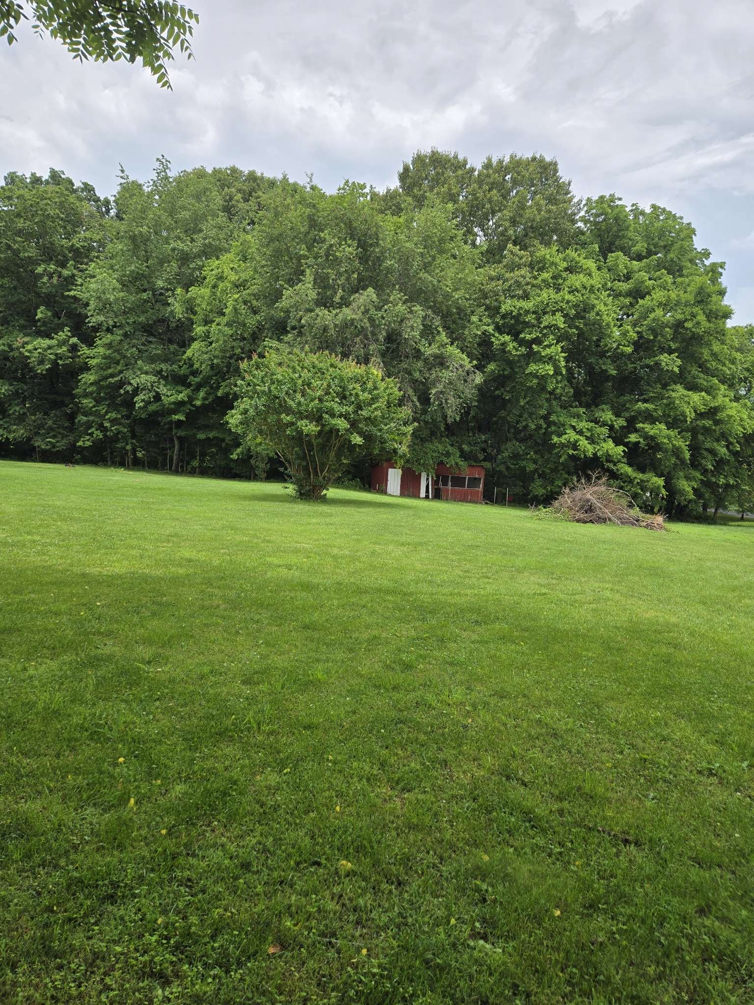 Cottontown, TN 37048,0 Martin Lane