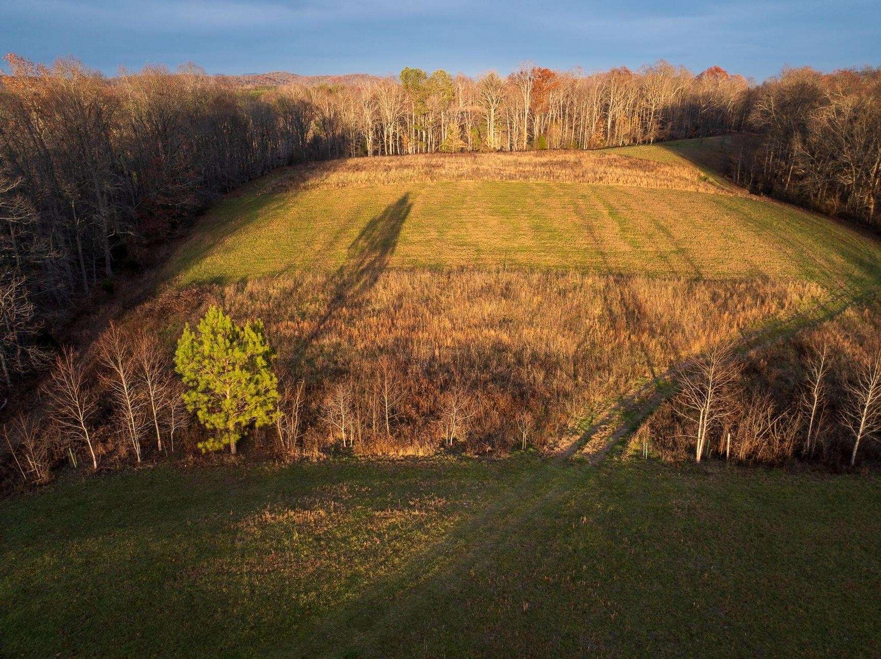 Rockwood, TN 37854,1858 Dry Hill RD