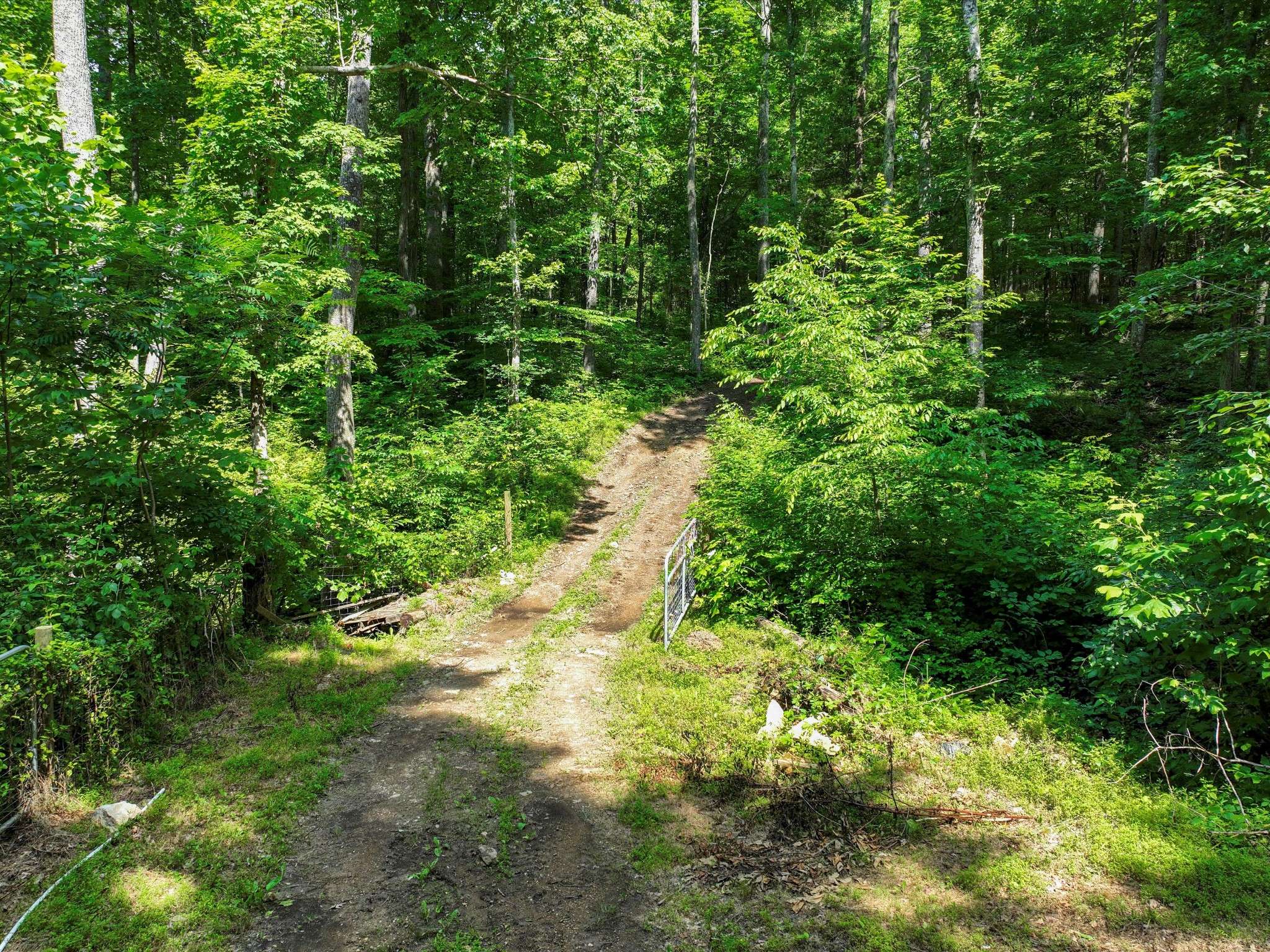 Bethpage, TN 37022,1288 Rogues Fork Rd