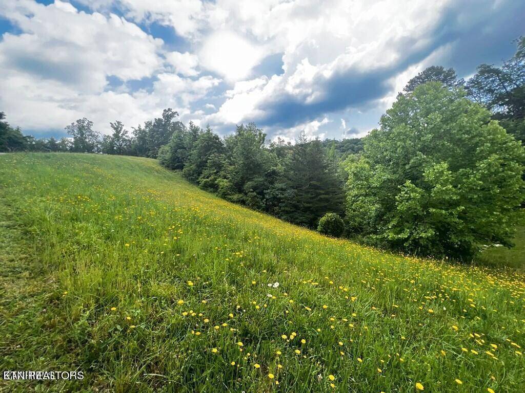 Russellville, TN 37860,6219 Outlook Trl