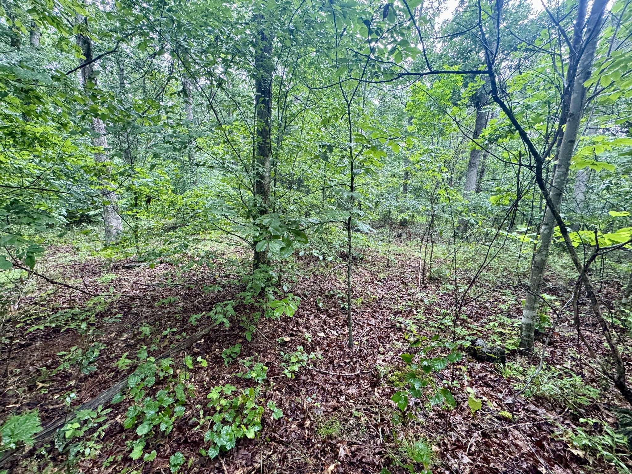 Centerville, TN 37033,929 Mason Bates Bend Rd