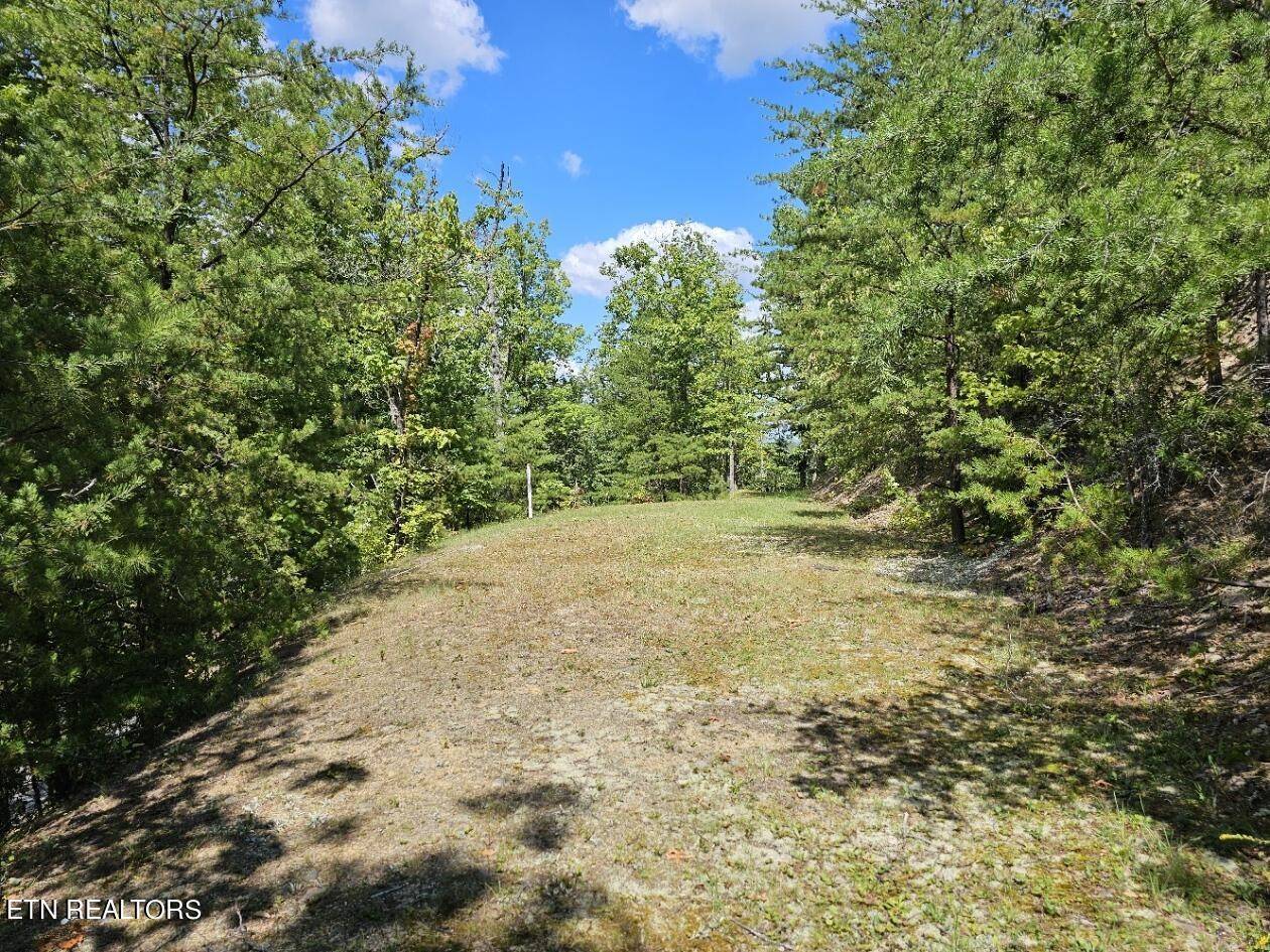 Sevierville, TN 37862,9 Village Circle
