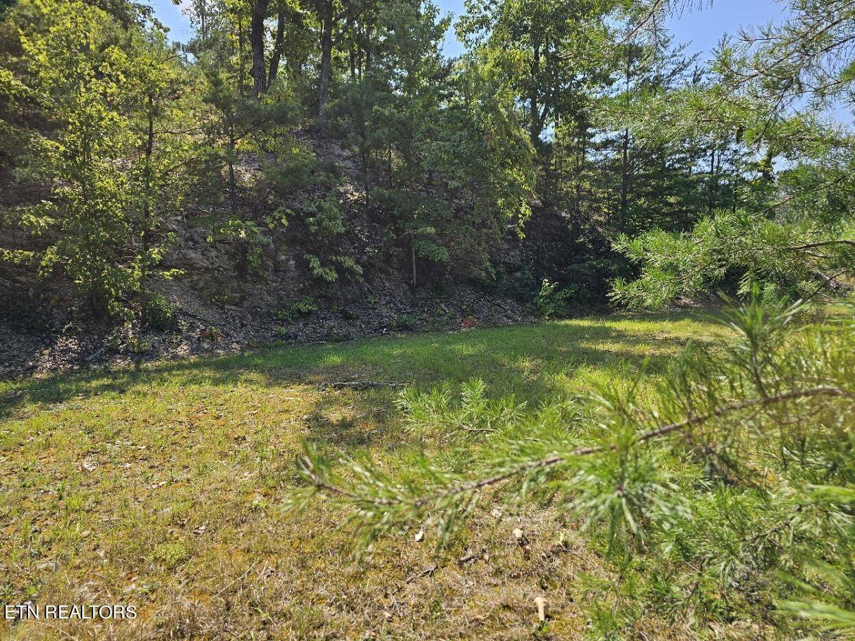 Sevierville, TN 37862,9 Village Circle