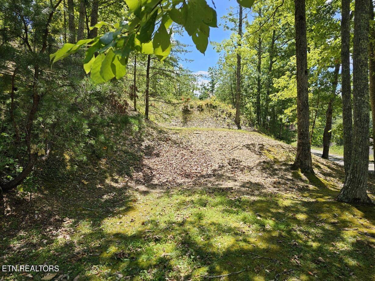 Sevierville, TN 37862,7 Village Circle